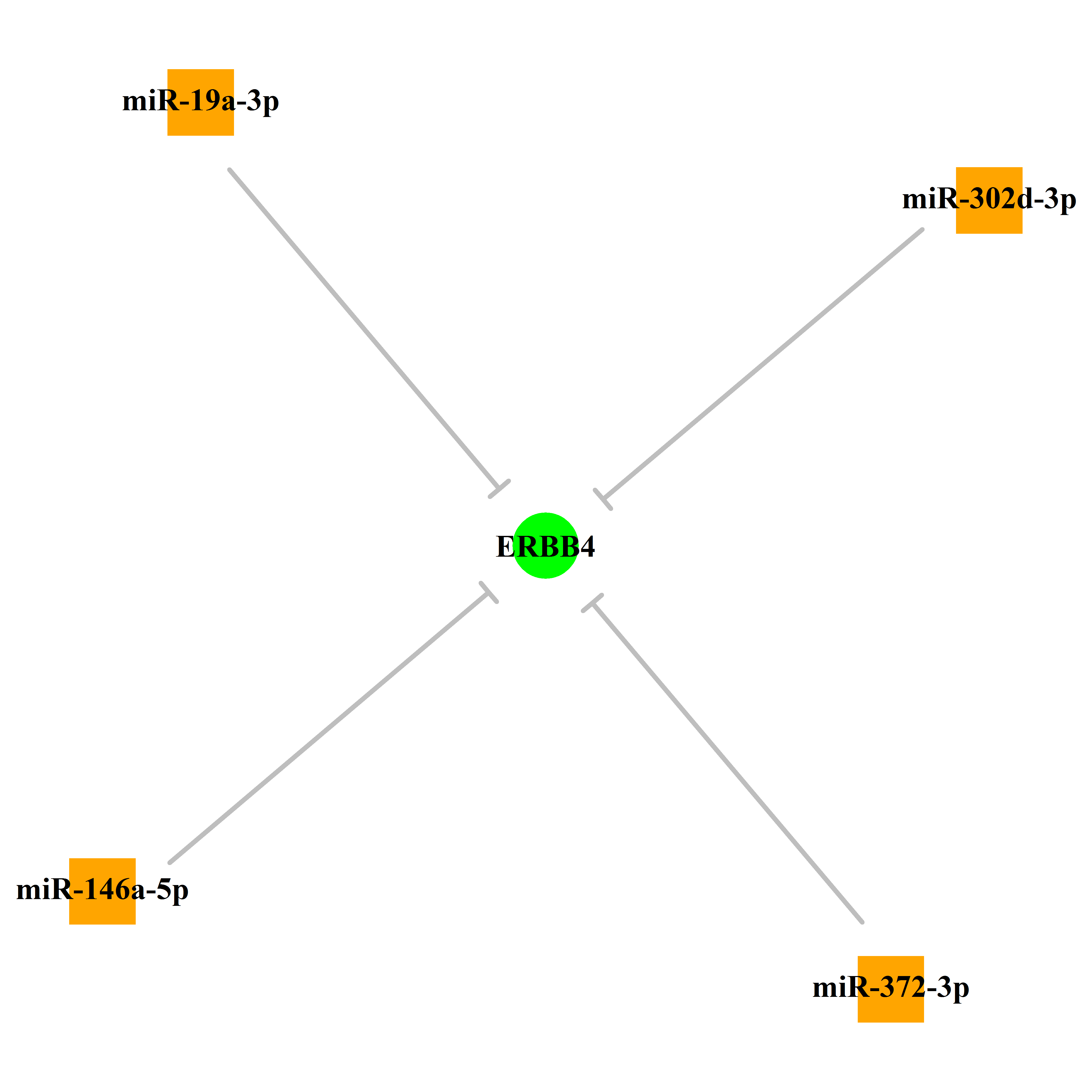 Experimentally validated miRNA-TS gene regulation information.