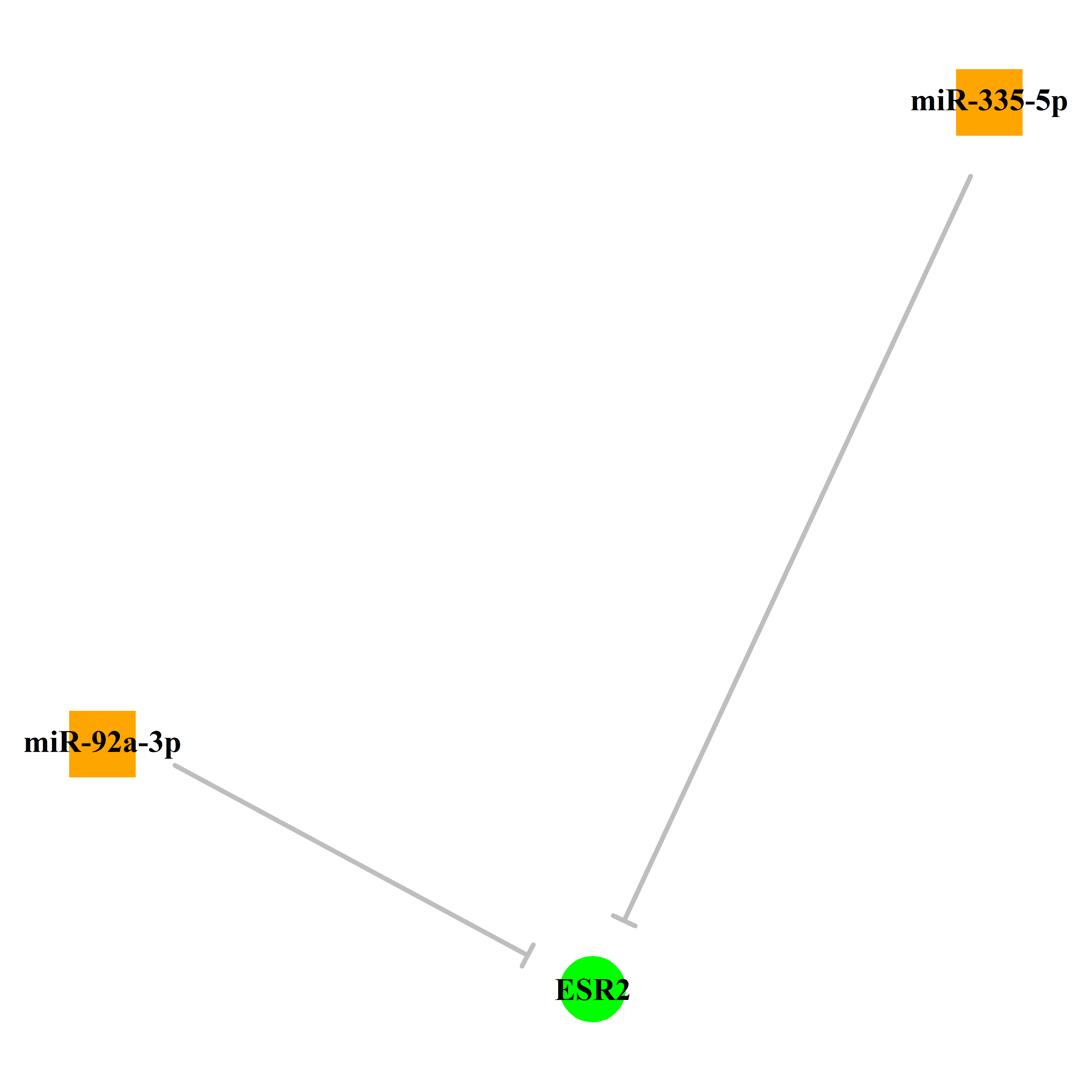 Experimentally validated miRNA-TS gene regulation information.