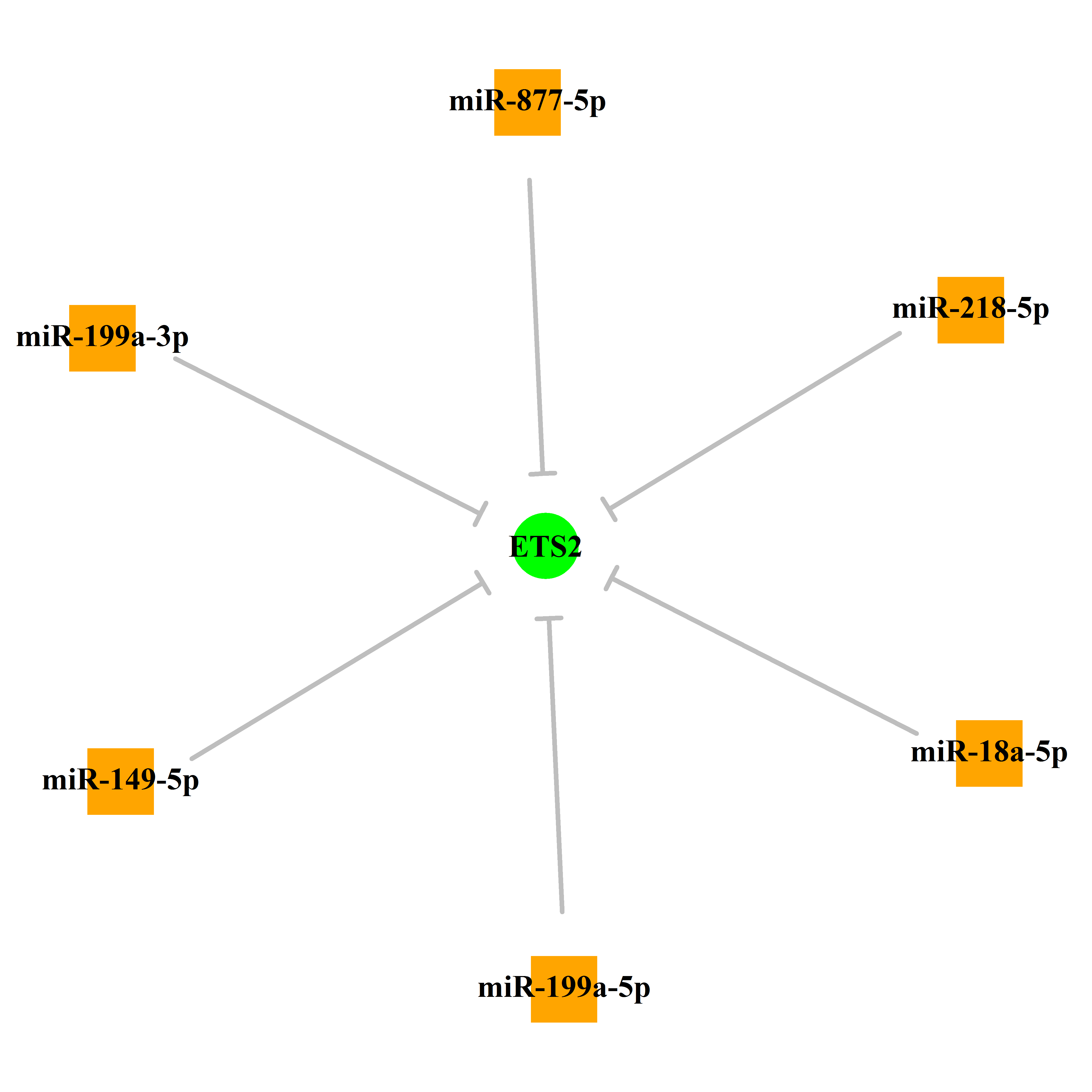 Experimentally validated miRNA-TS gene regulation information.