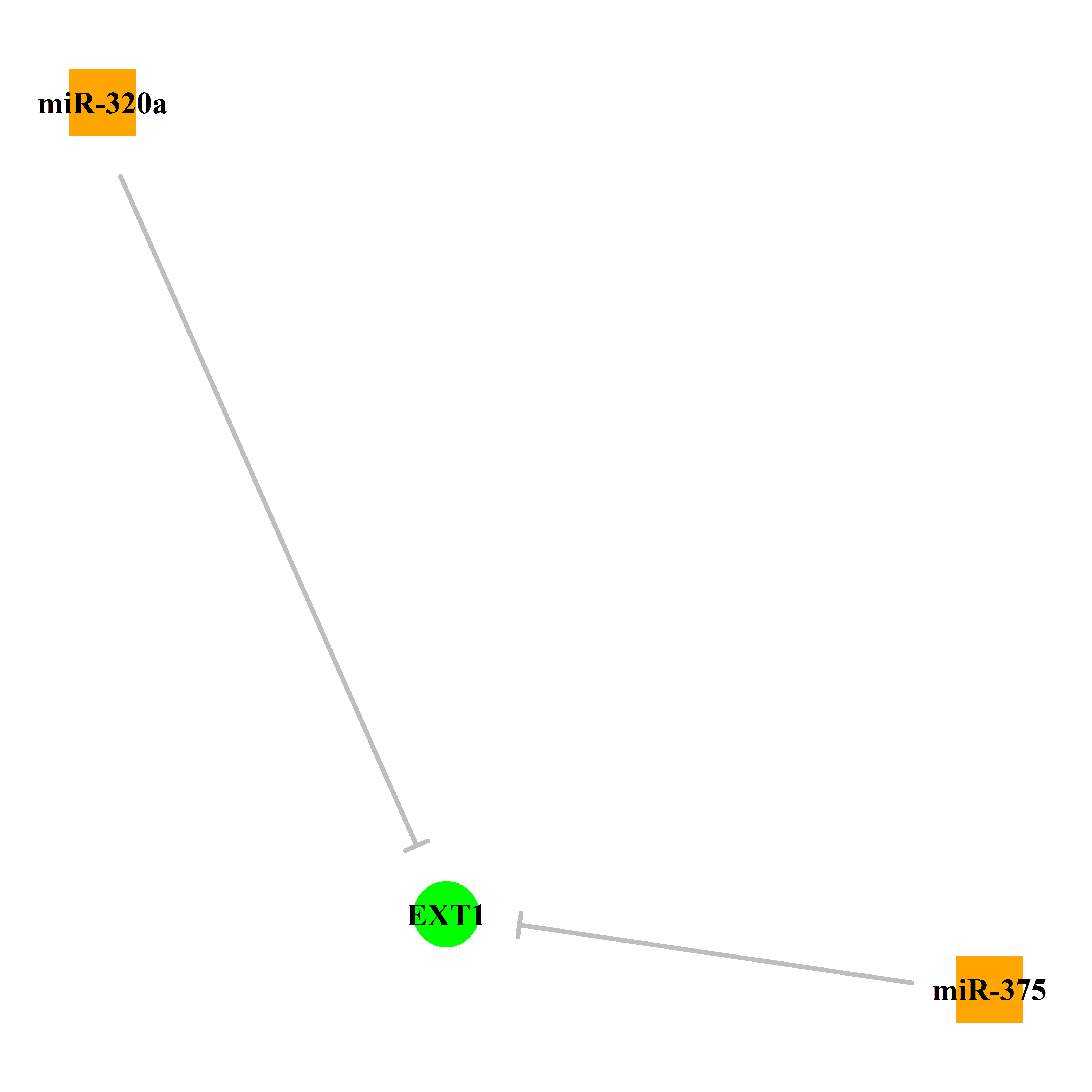 Experimentally validated miRNA-TS gene regulation information.