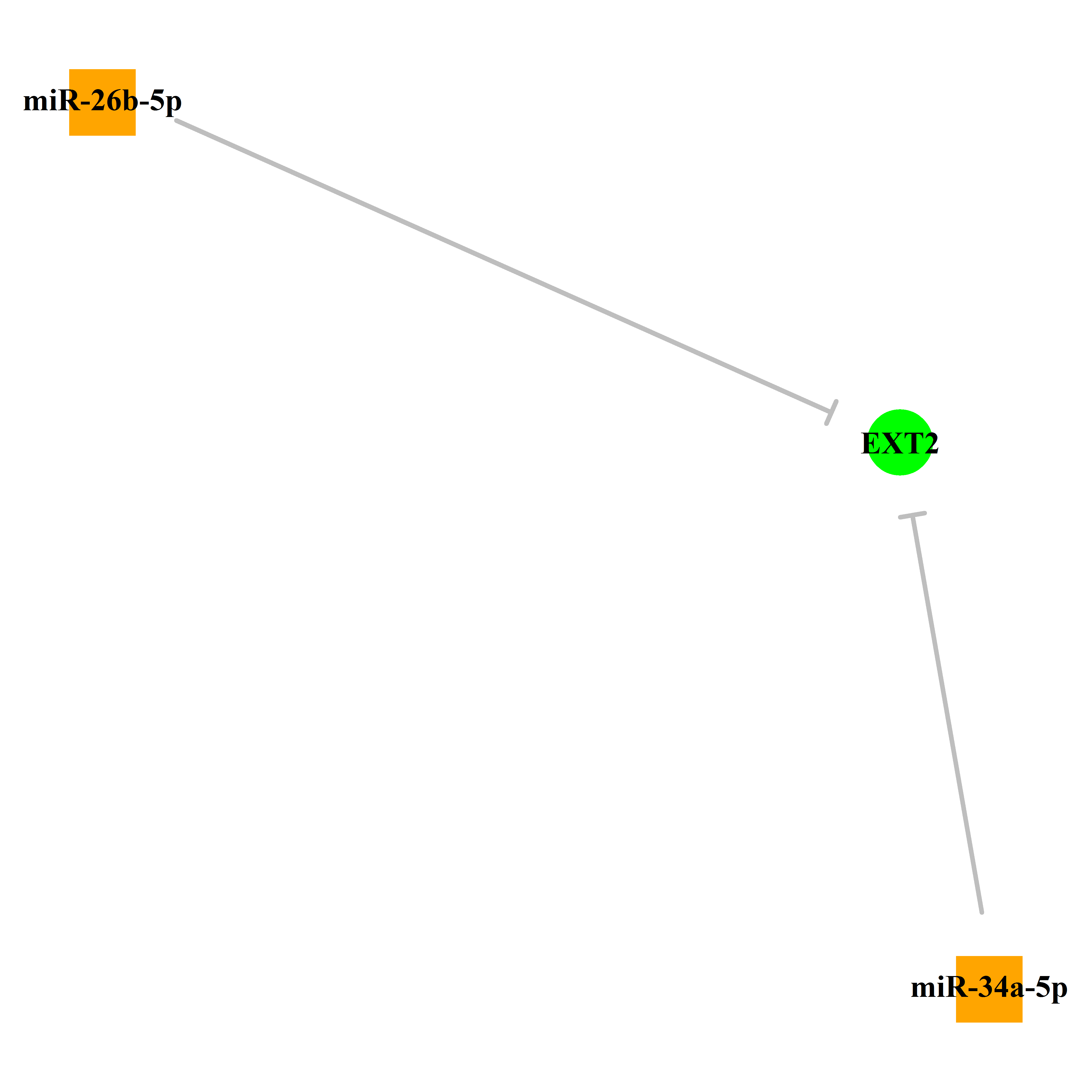 Experimentally validated miRNA-TS gene regulation information.