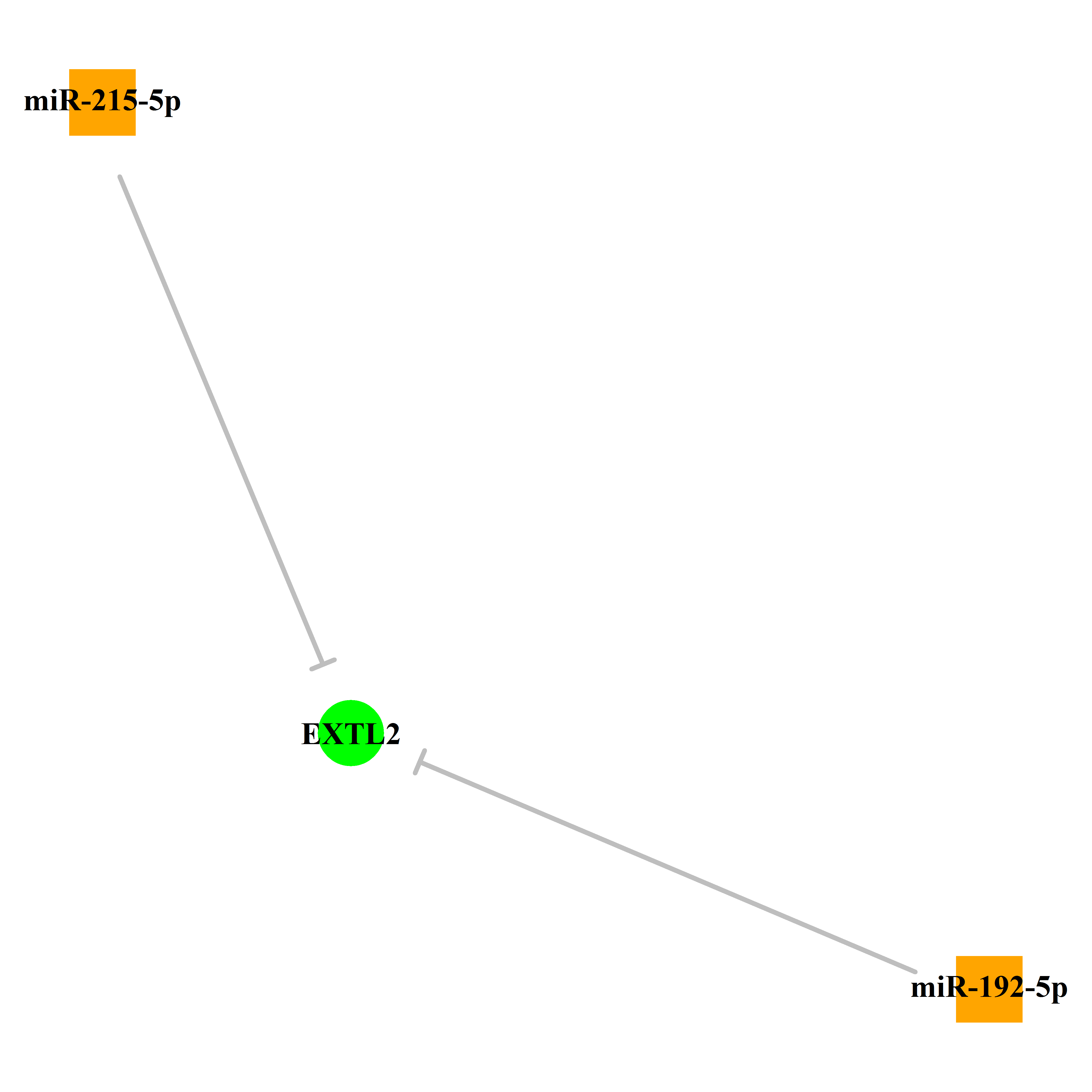 Experimentally validated miRNA-TS gene regulation information.