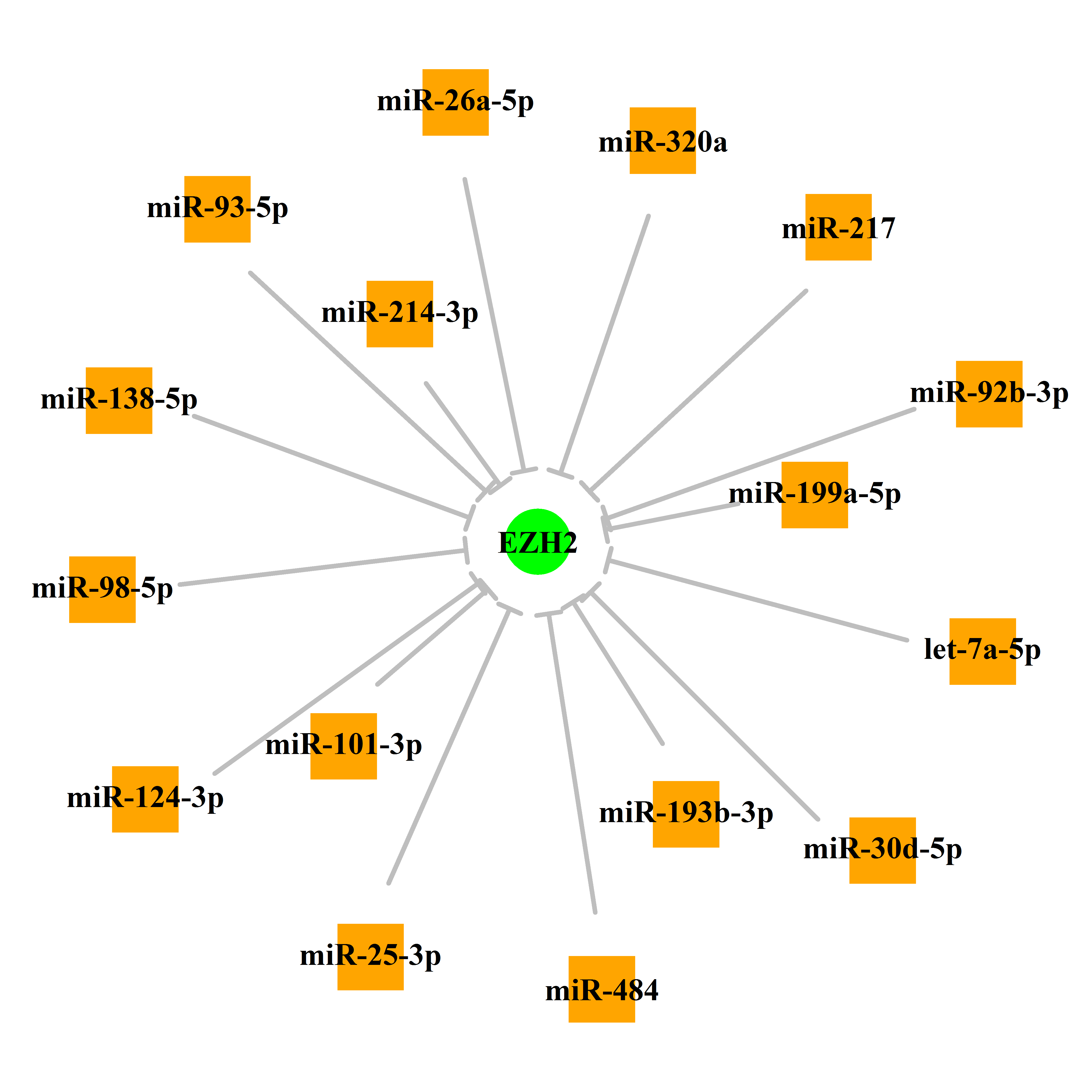 Experimentally validated miRNA-TS gene regulation information.