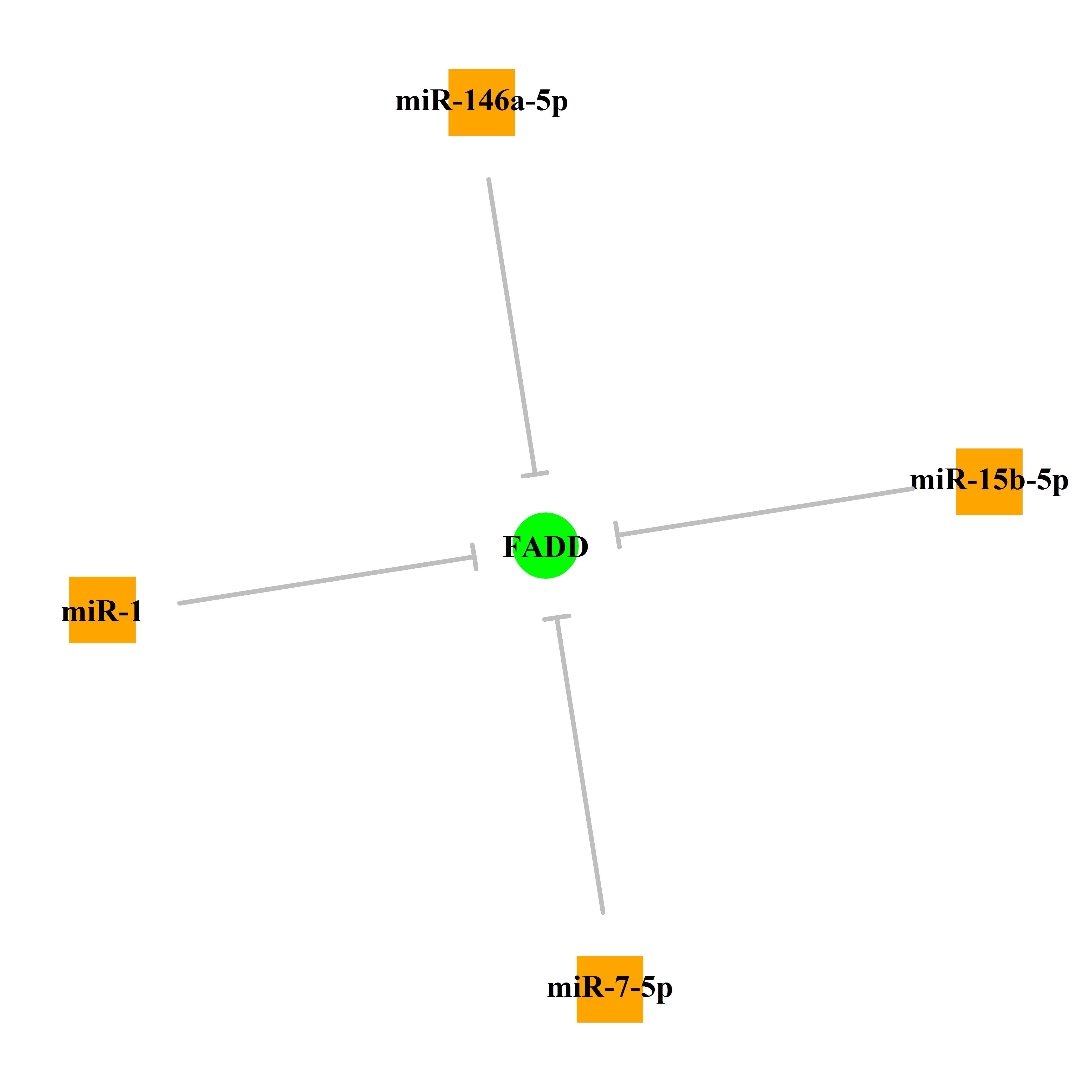 Experimentally validated miRNA-TS gene regulation information.