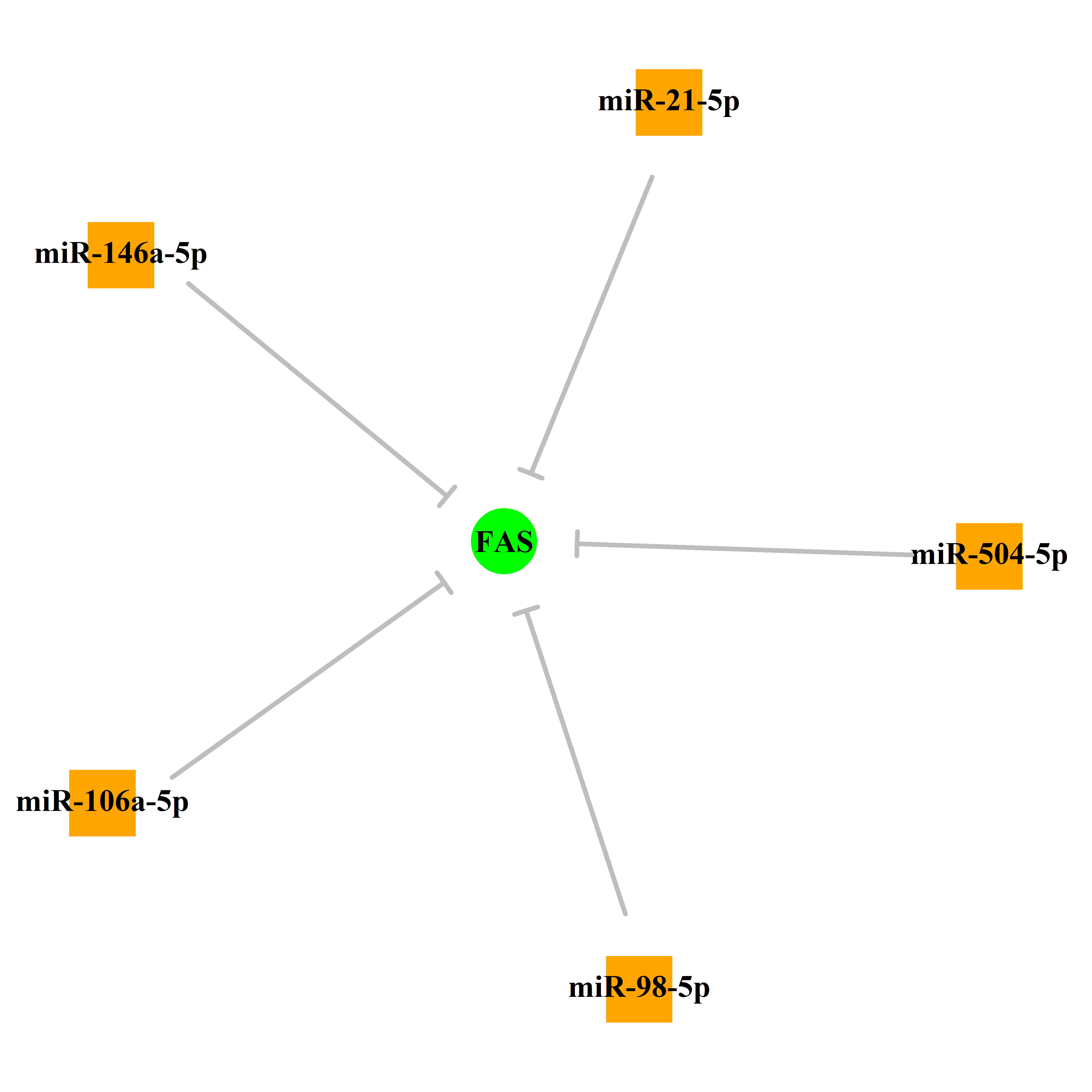 Experimentally validated miRNA-TS gene regulation information.