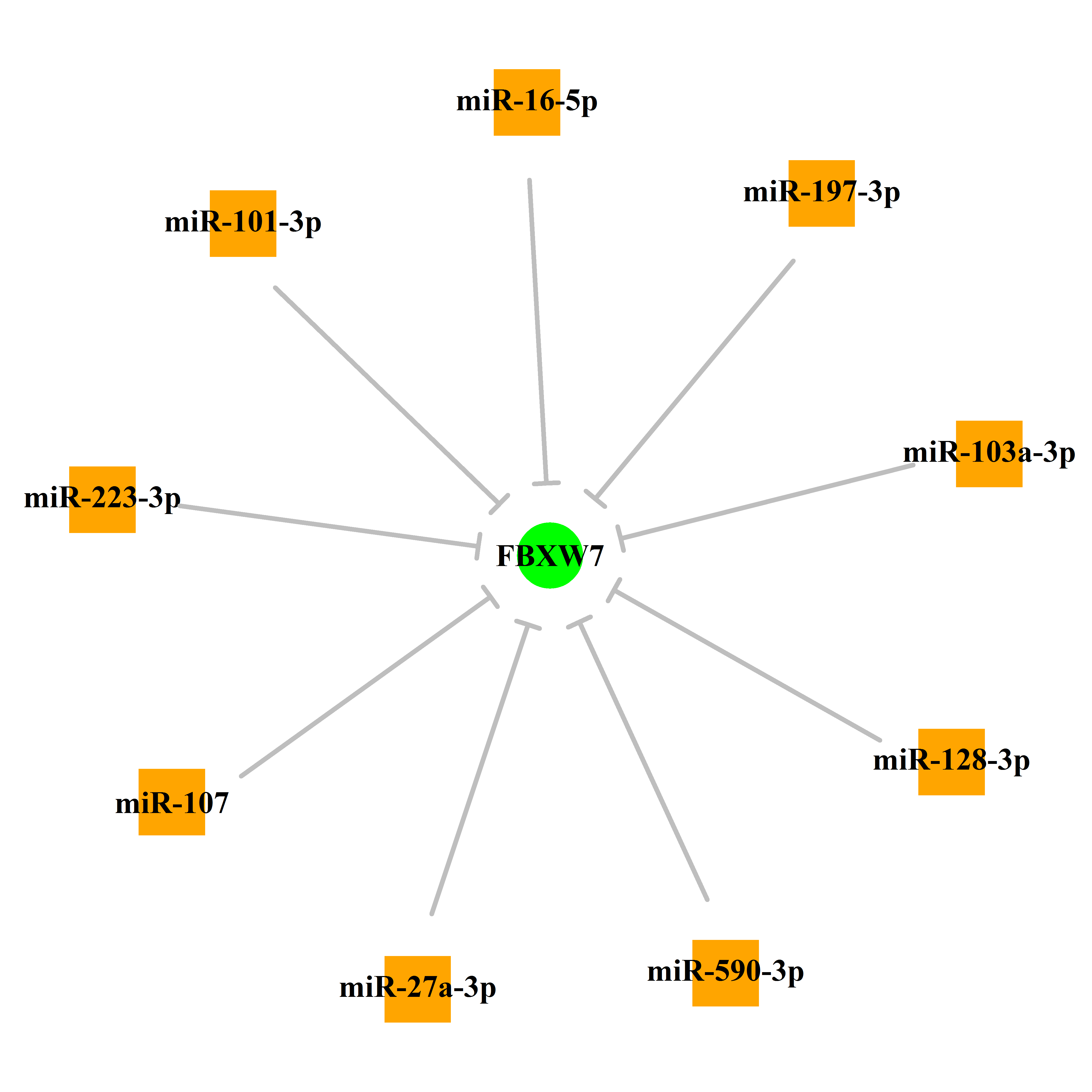 Experimentally validated miRNA-TS gene regulation information.