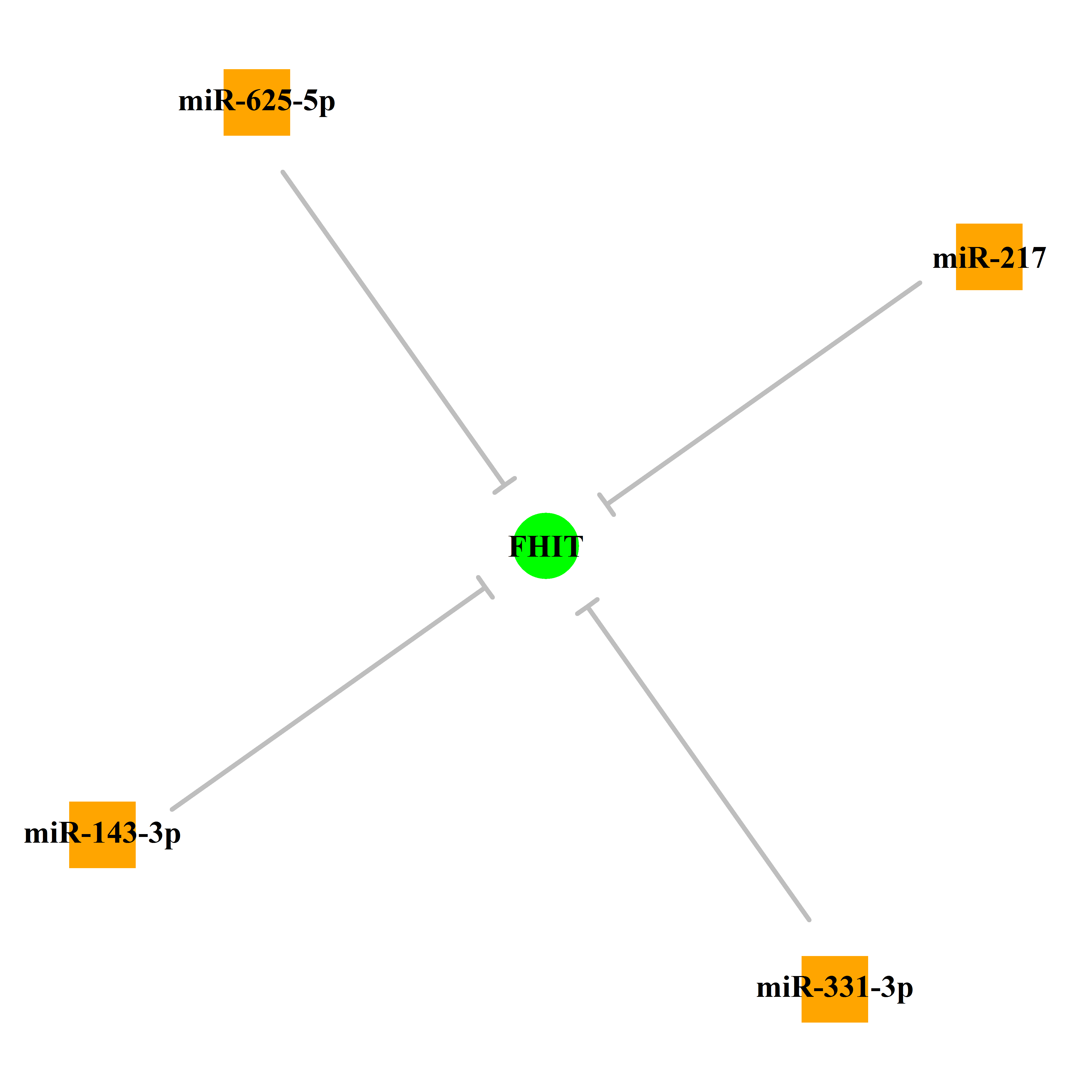 Experimentally validated miRNA-TS gene regulation information.