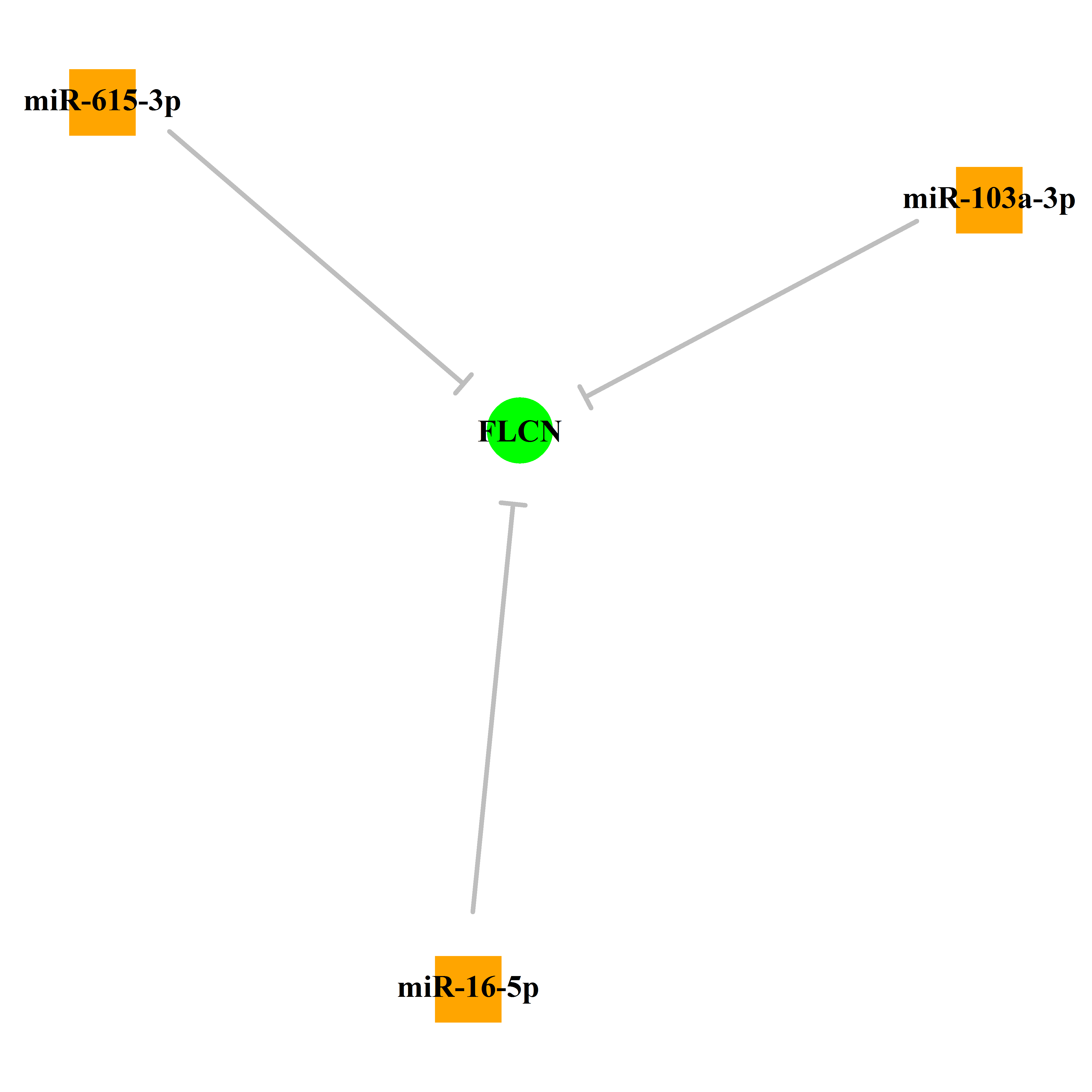 Experimentally validated miRNA-TS gene regulation information.