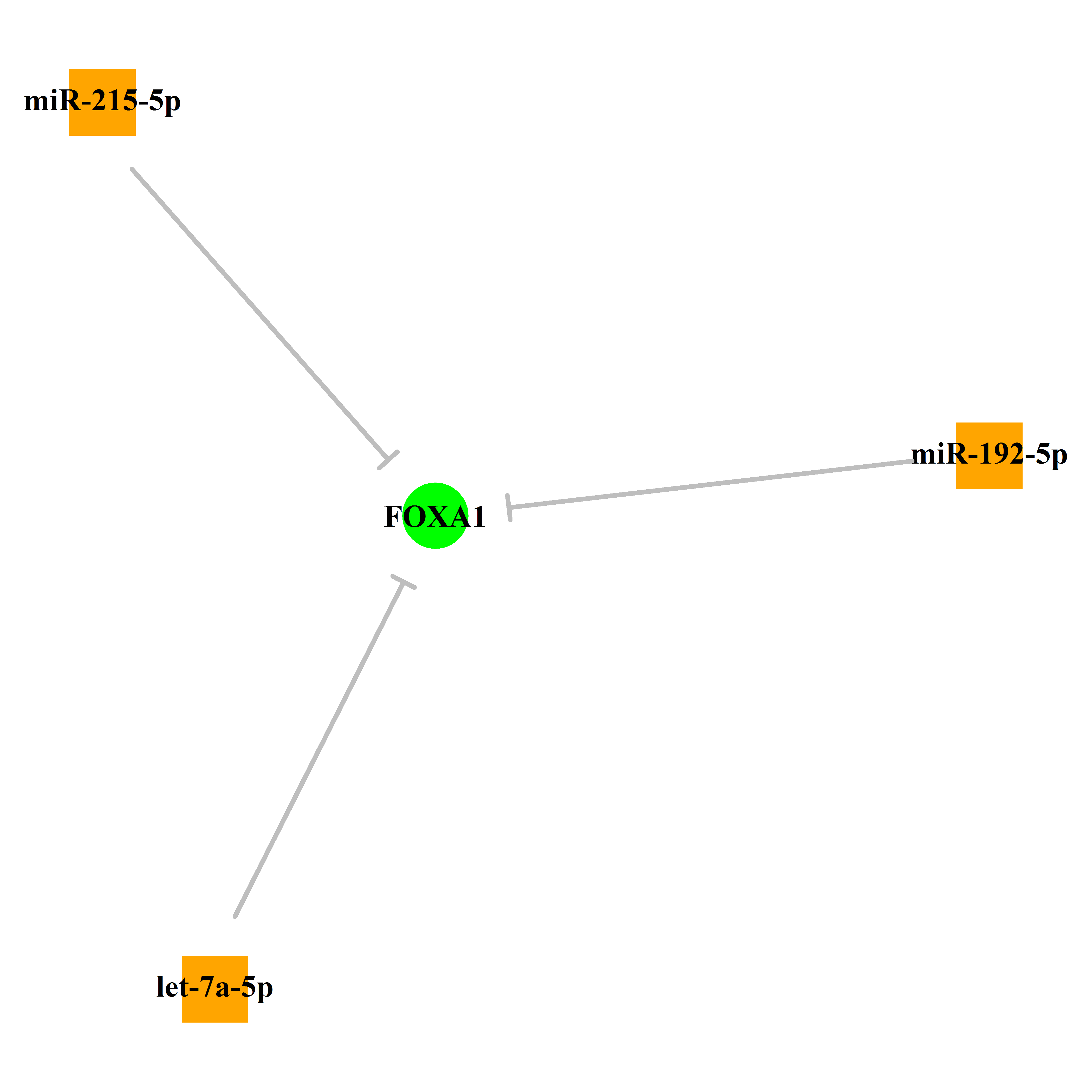 Experimentally validated miRNA-TS gene regulation information.