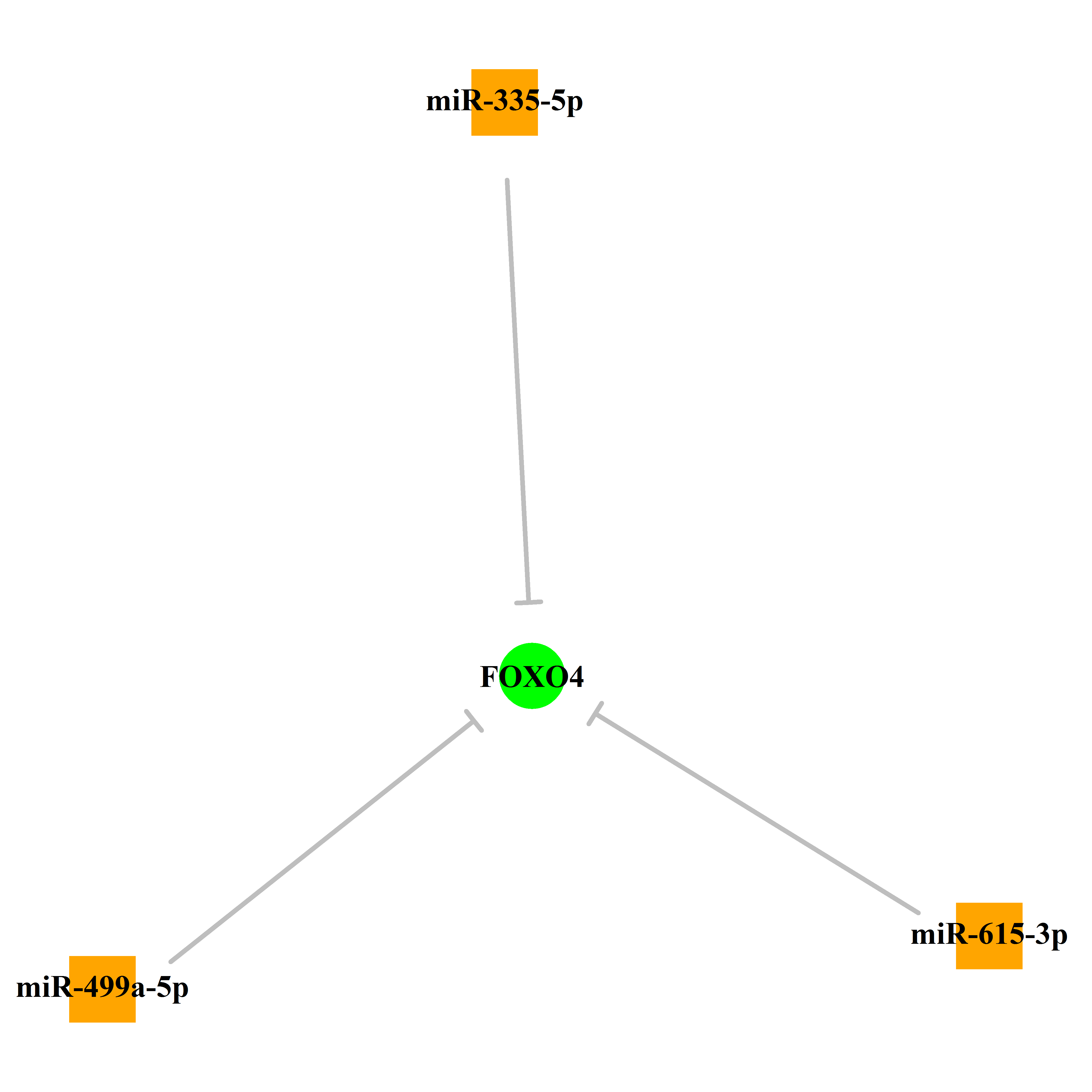 Experimentally validated miRNA-TS gene regulation information.