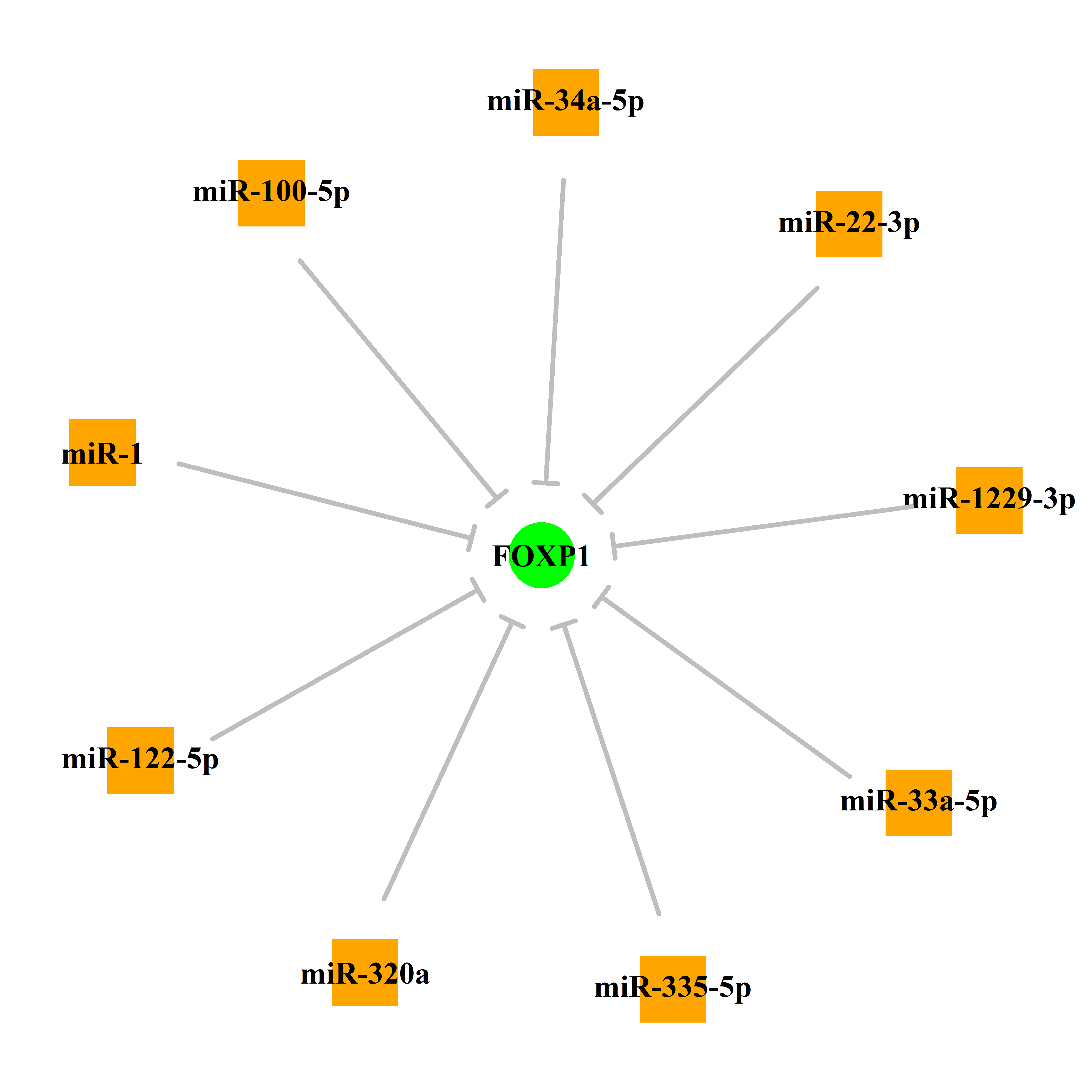 Experimentally validated miRNA-TS gene regulation information.