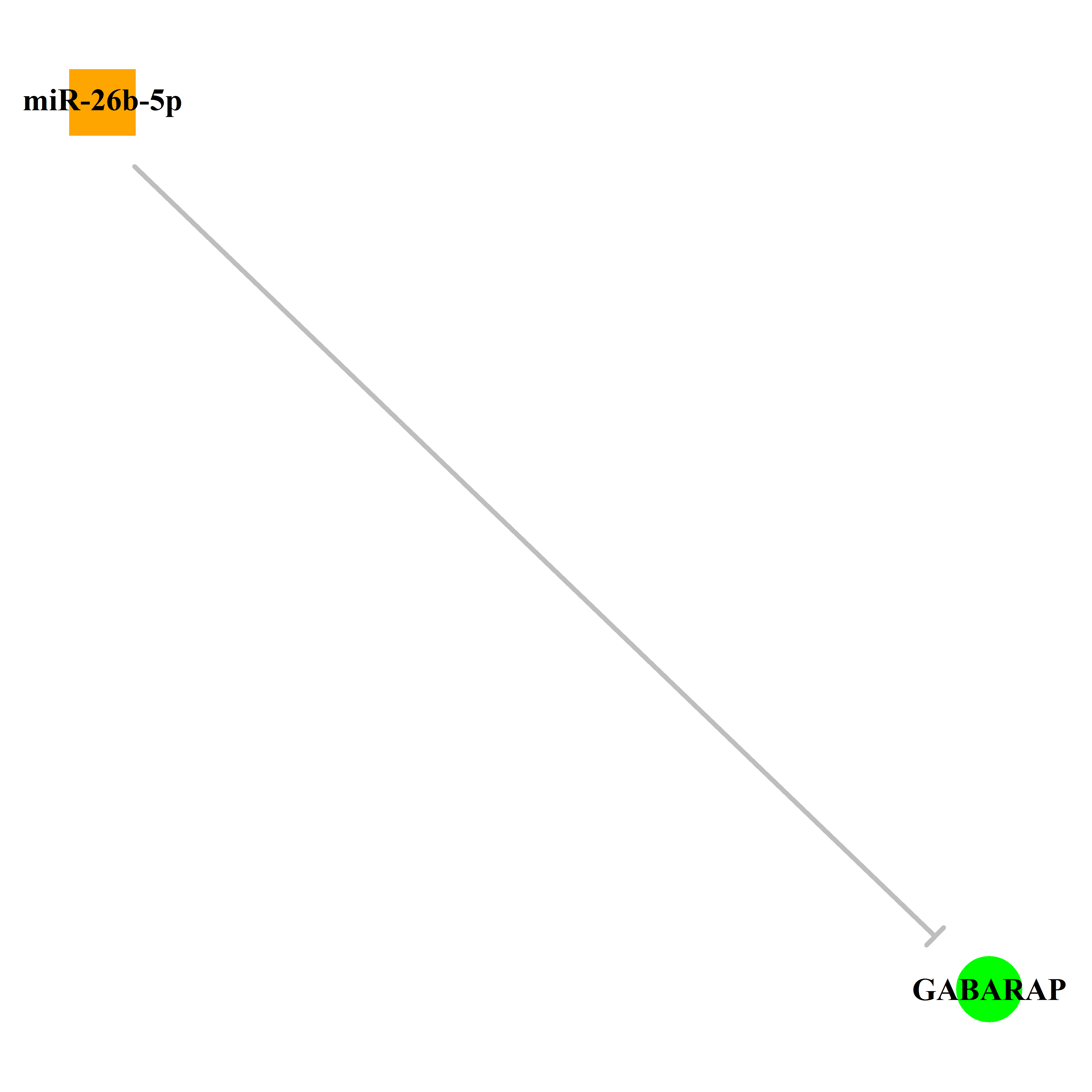 Experimentally validated miRNA-TS gene regulation information.