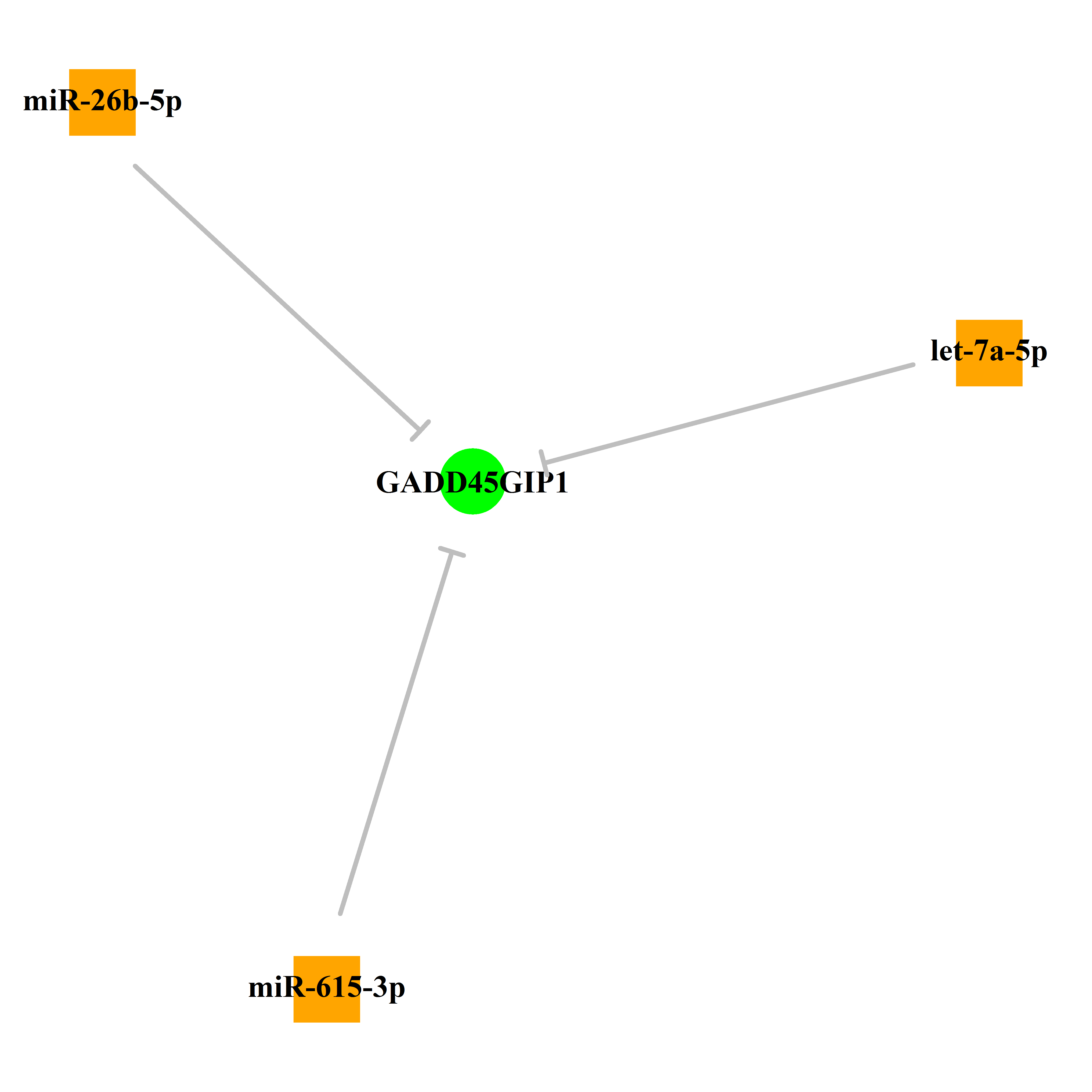 Experimentally validated miRNA-TS gene regulation information.