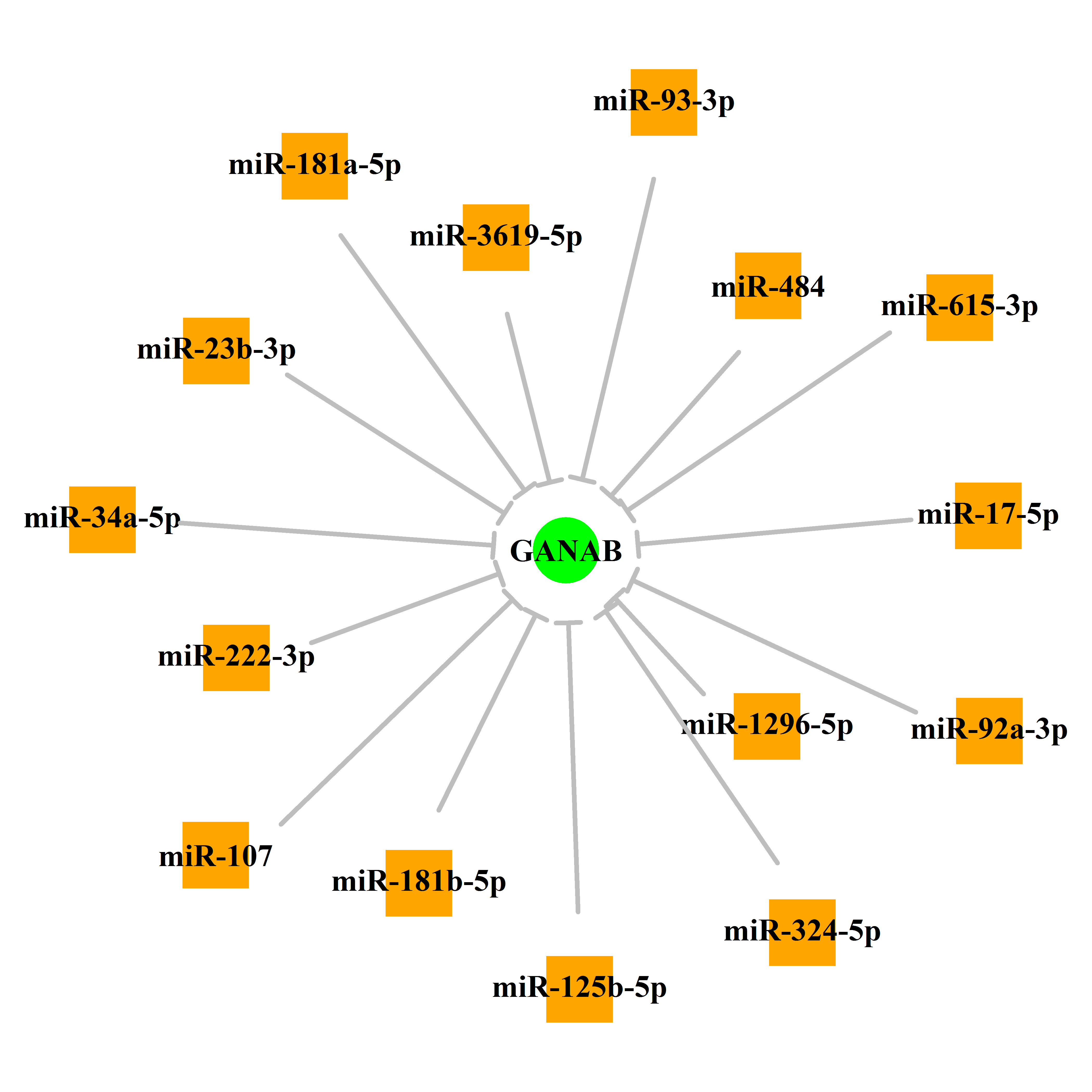 Experimentally validated miRNA-TS gene regulation information.