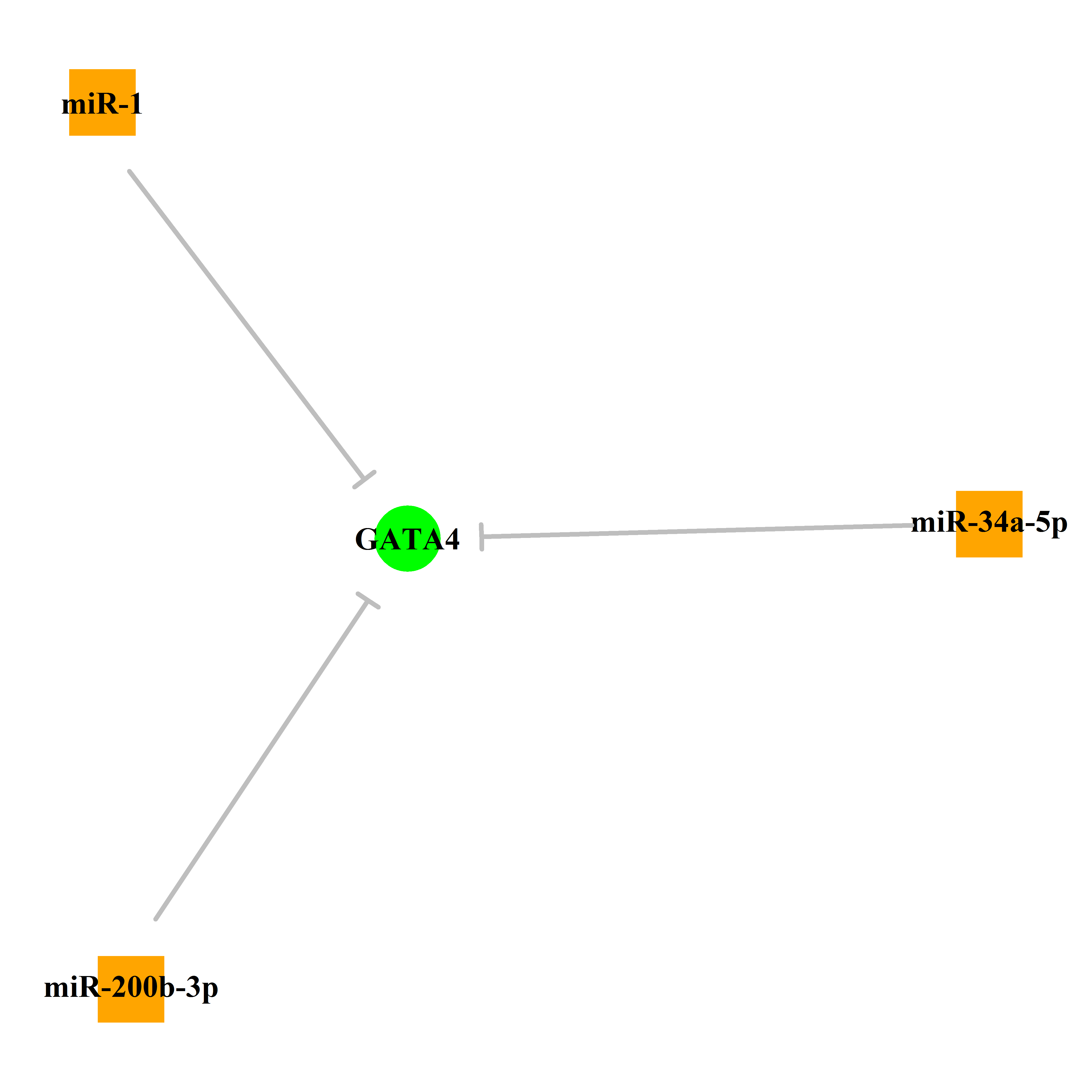 Experimentally validated miRNA-TS gene regulation information.