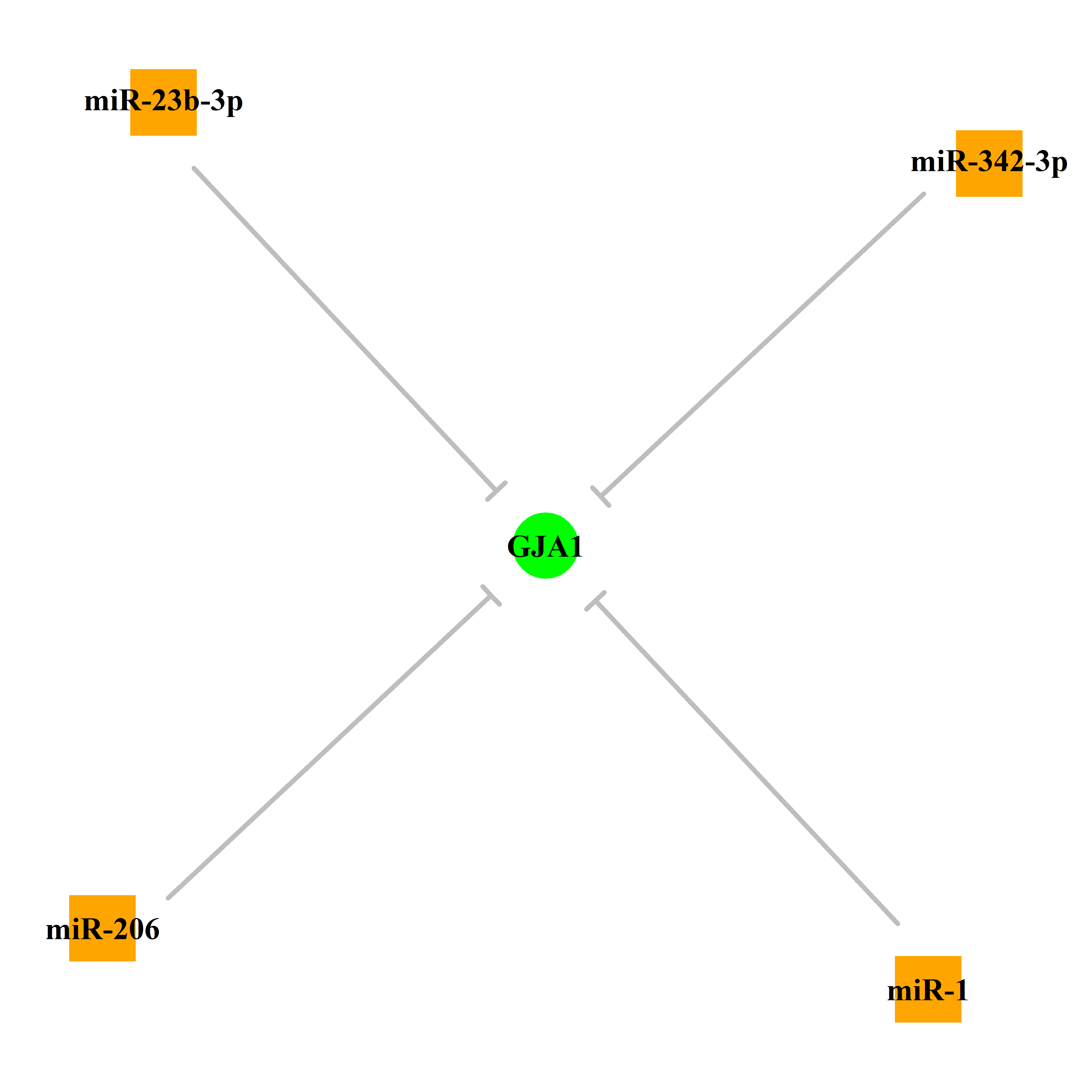 Experimentally validated miRNA-TS gene regulation information.