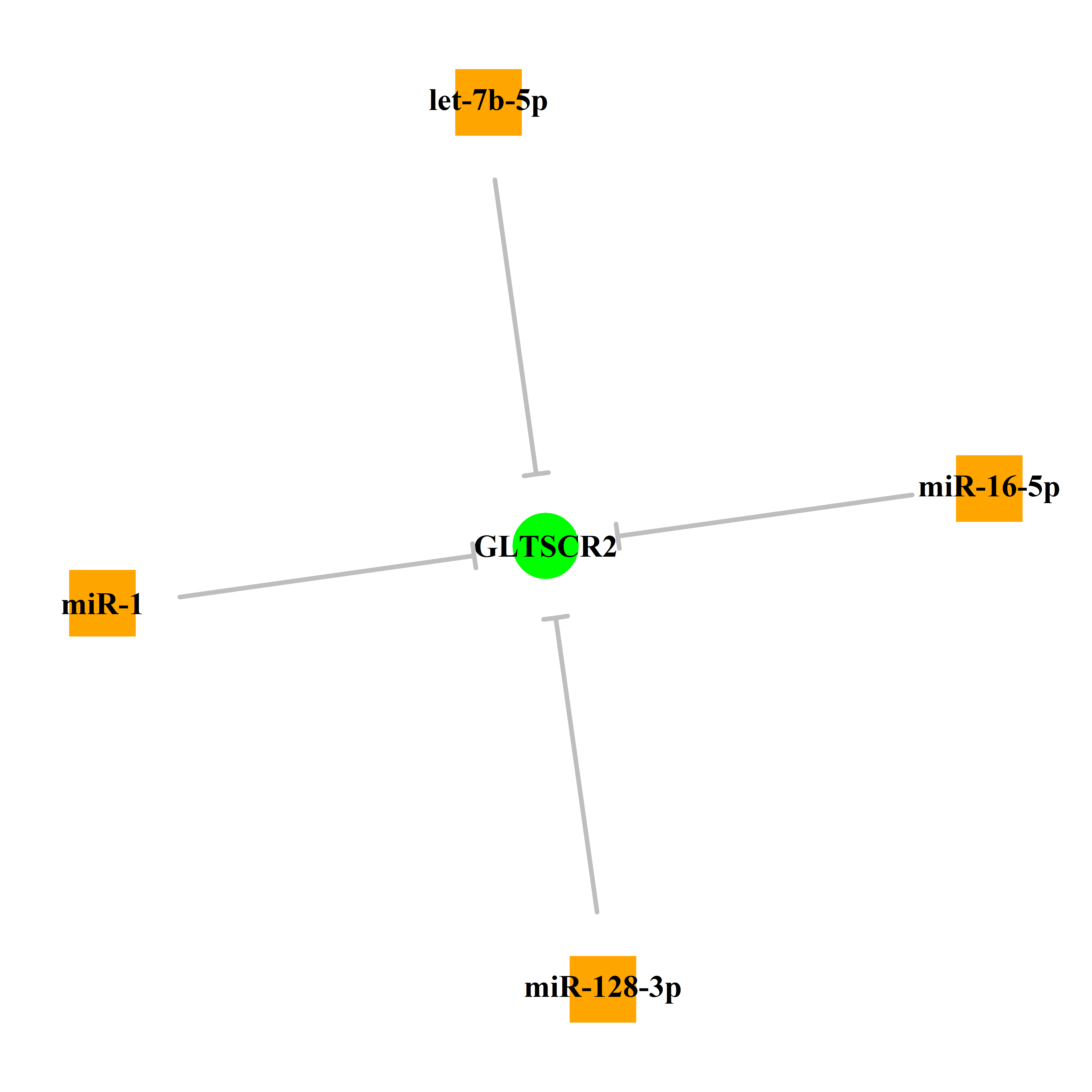 Experimentally validated miRNA-TS gene regulation information.