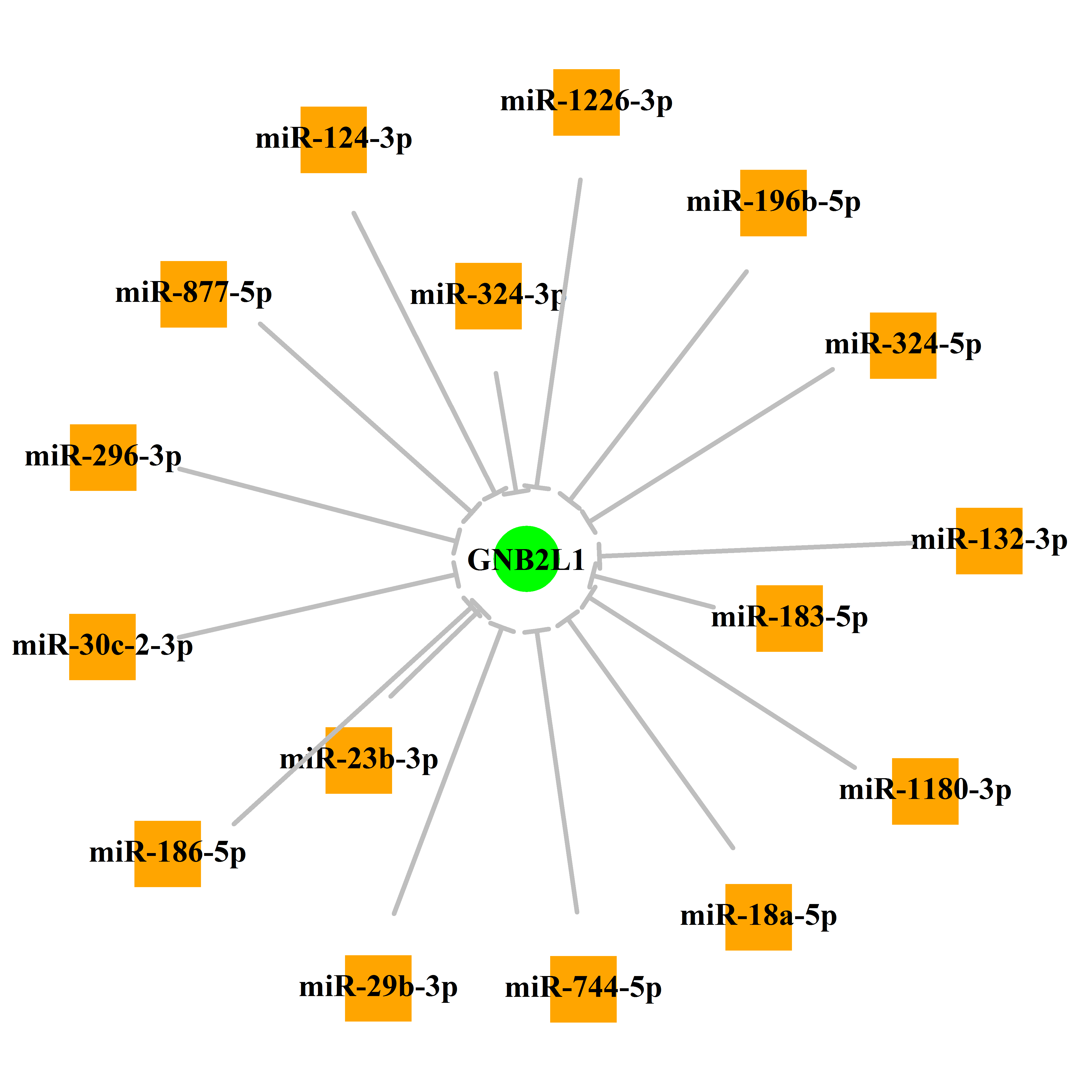 Experimentally validated miRNA-TS gene regulation information.