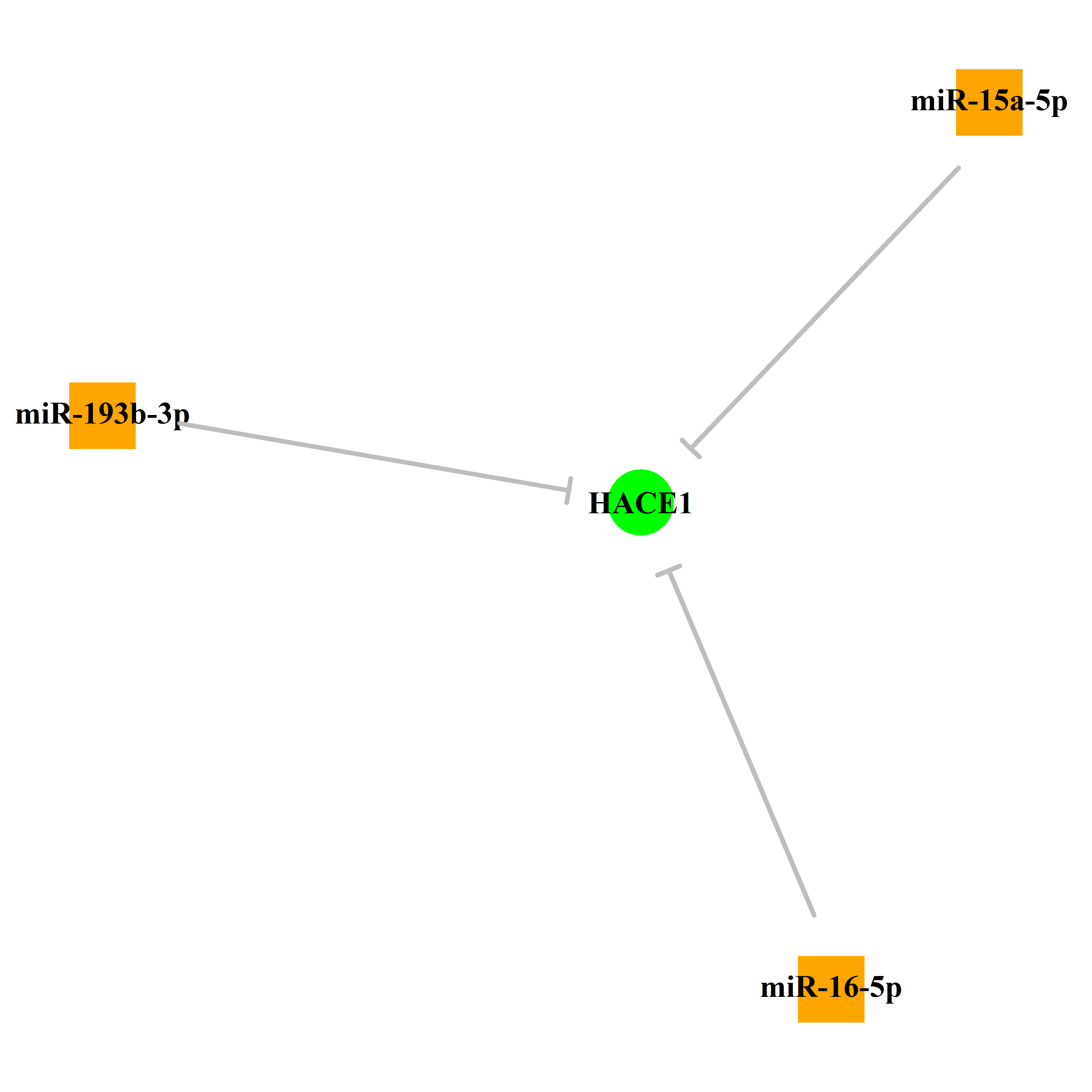 Experimentally validated miRNA-TS gene regulation information.