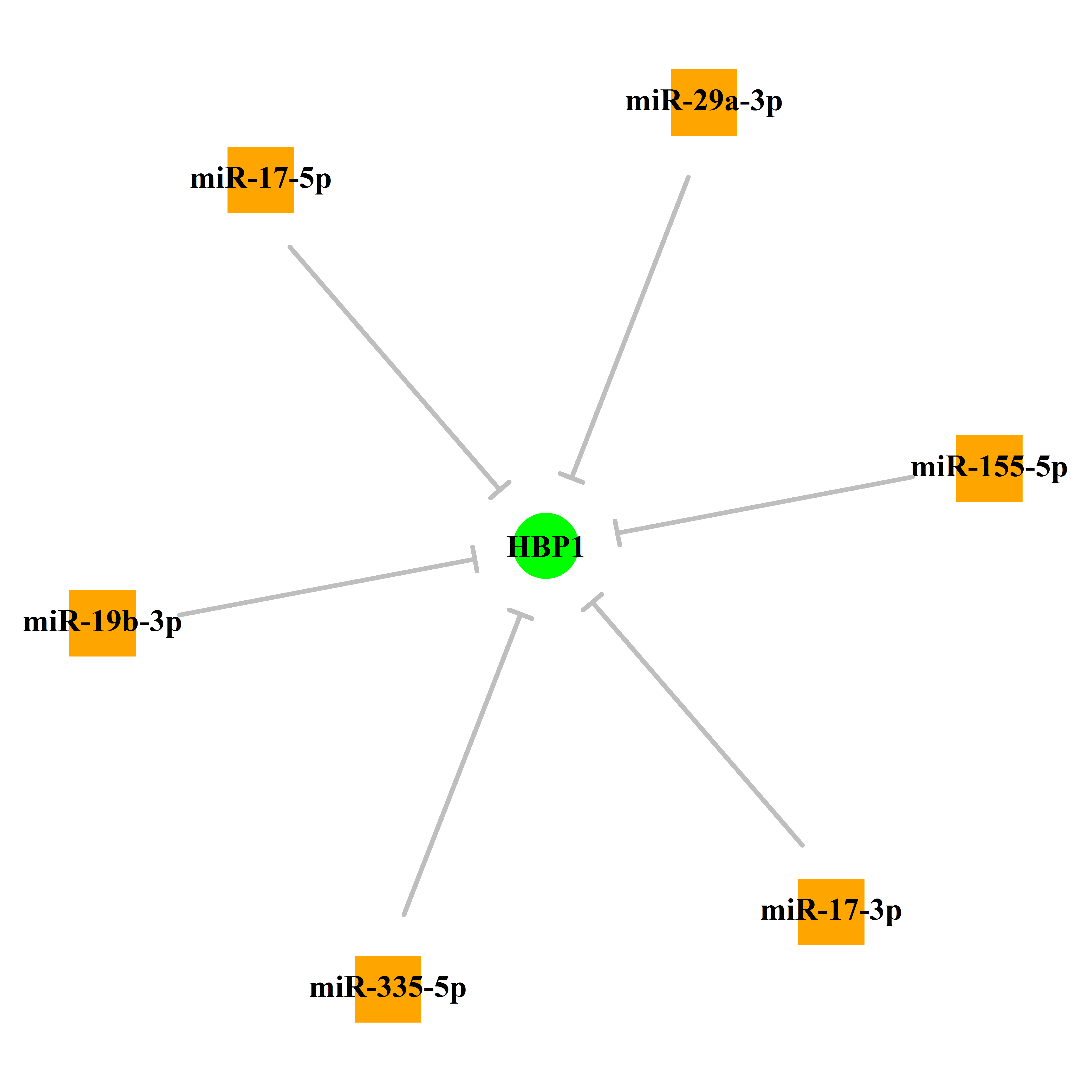 Experimentally validated miRNA-TS gene regulation information.