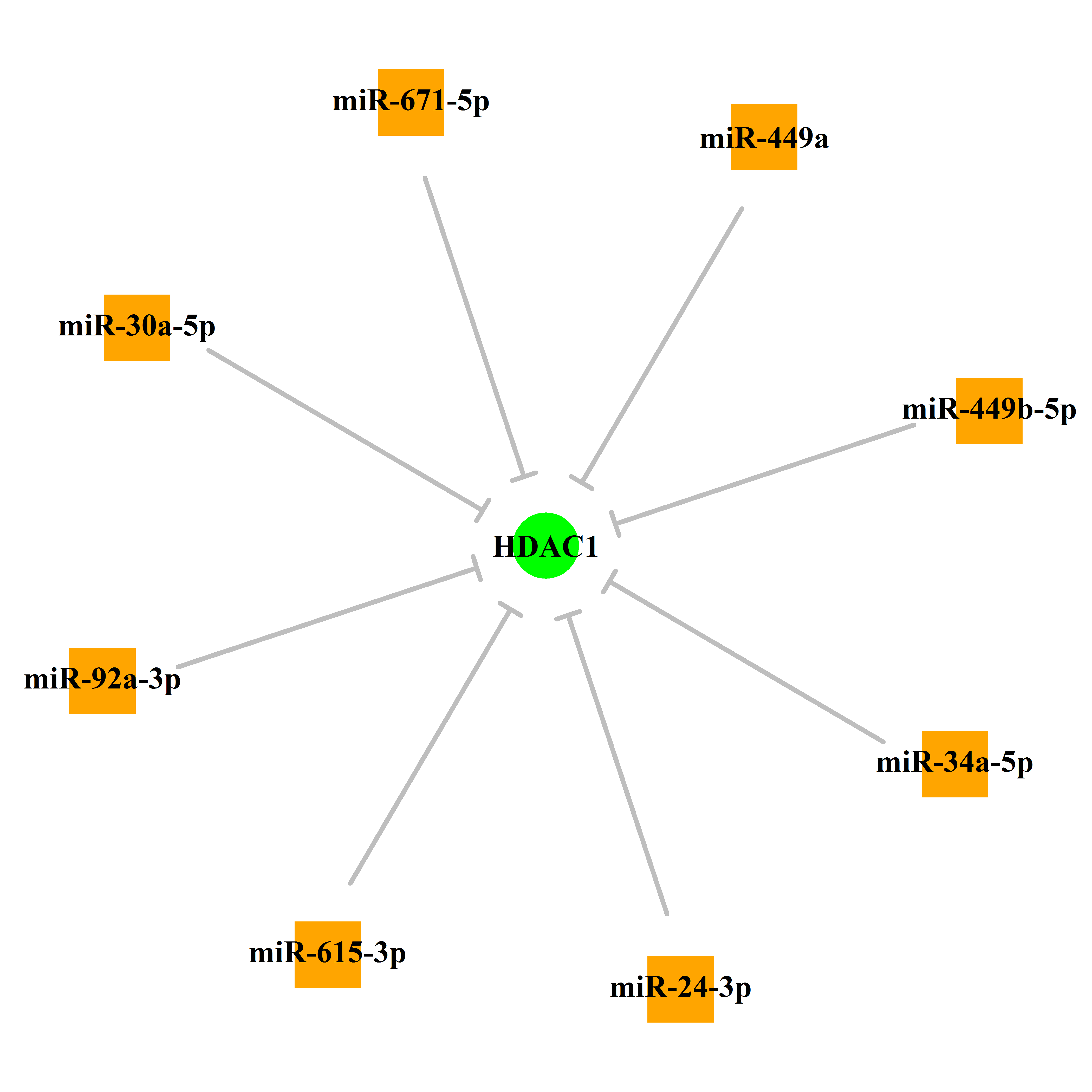 Experimentally validated miRNA-TS gene regulation information.