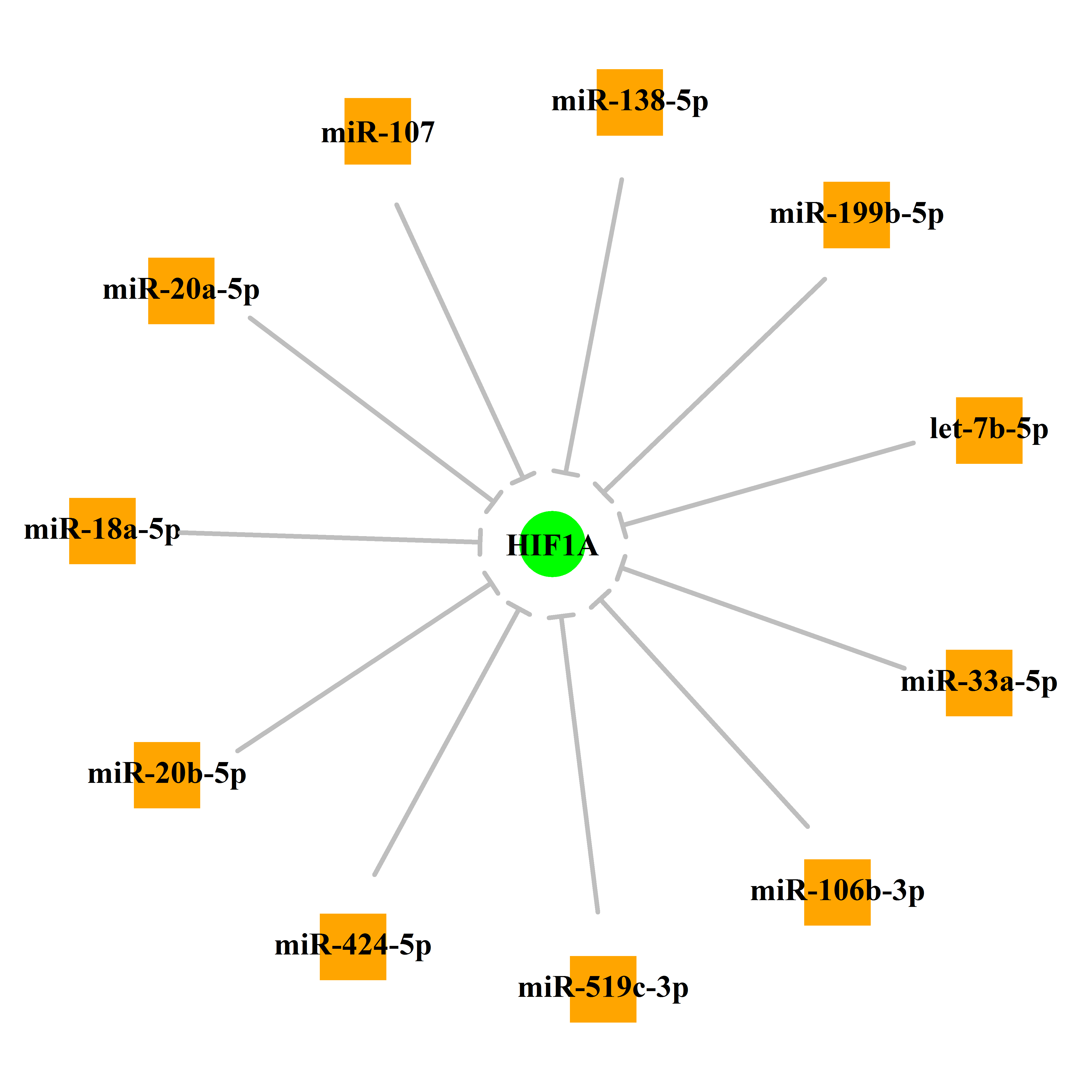 Experimentally validated miRNA-TS gene regulation information.