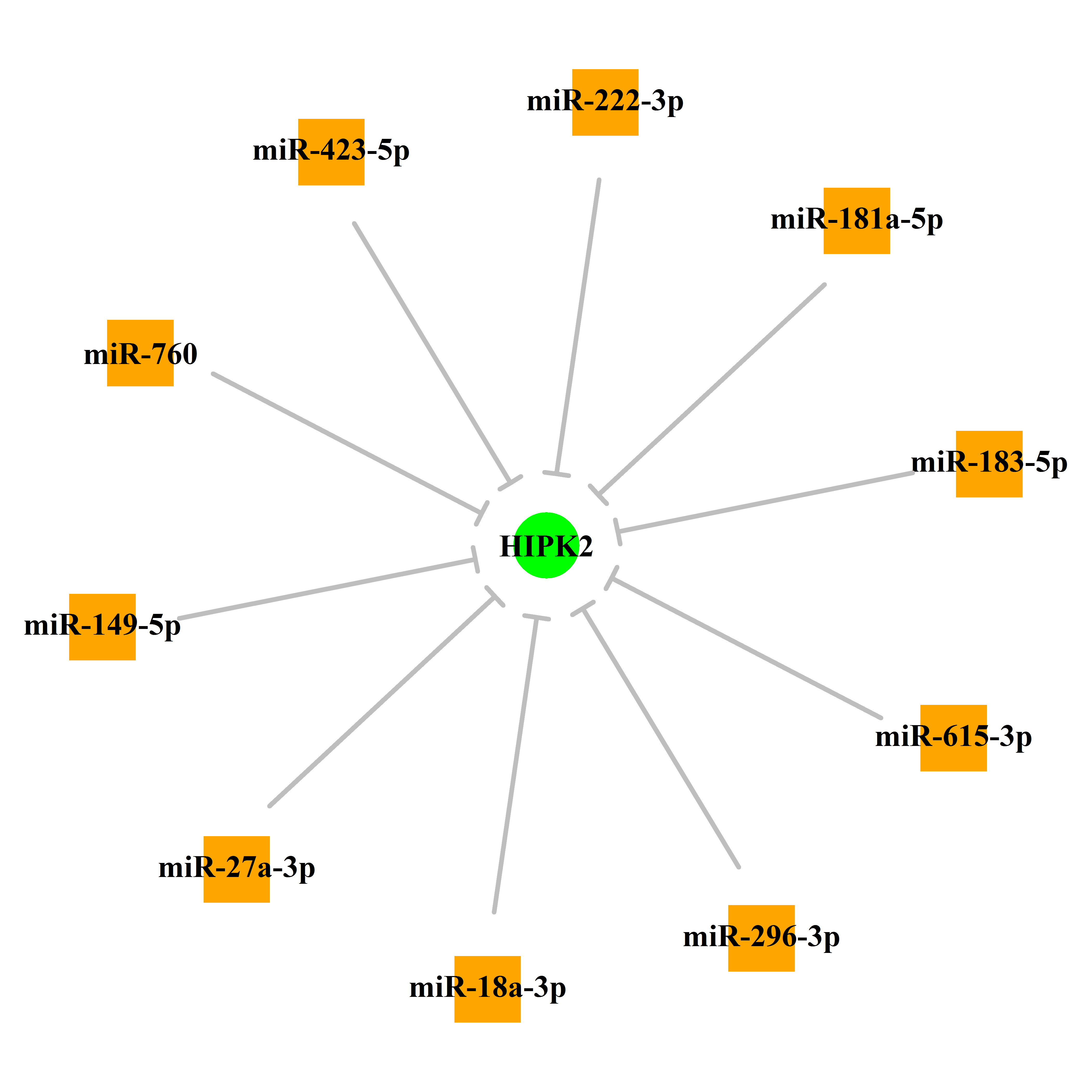 Experimentally validated miRNA-TS gene regulation information.