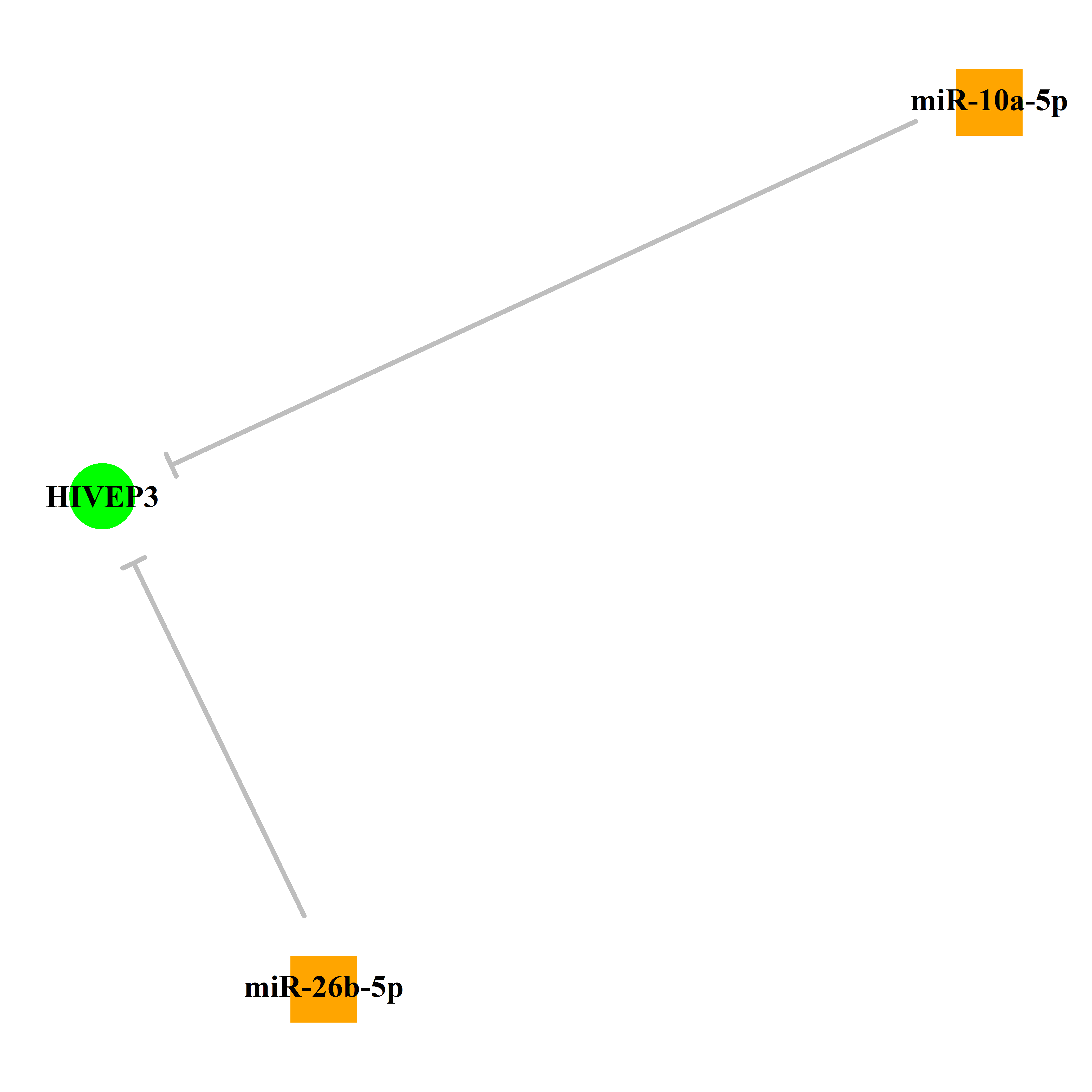 Experimentally validated miRNA-TS gene regulation information.