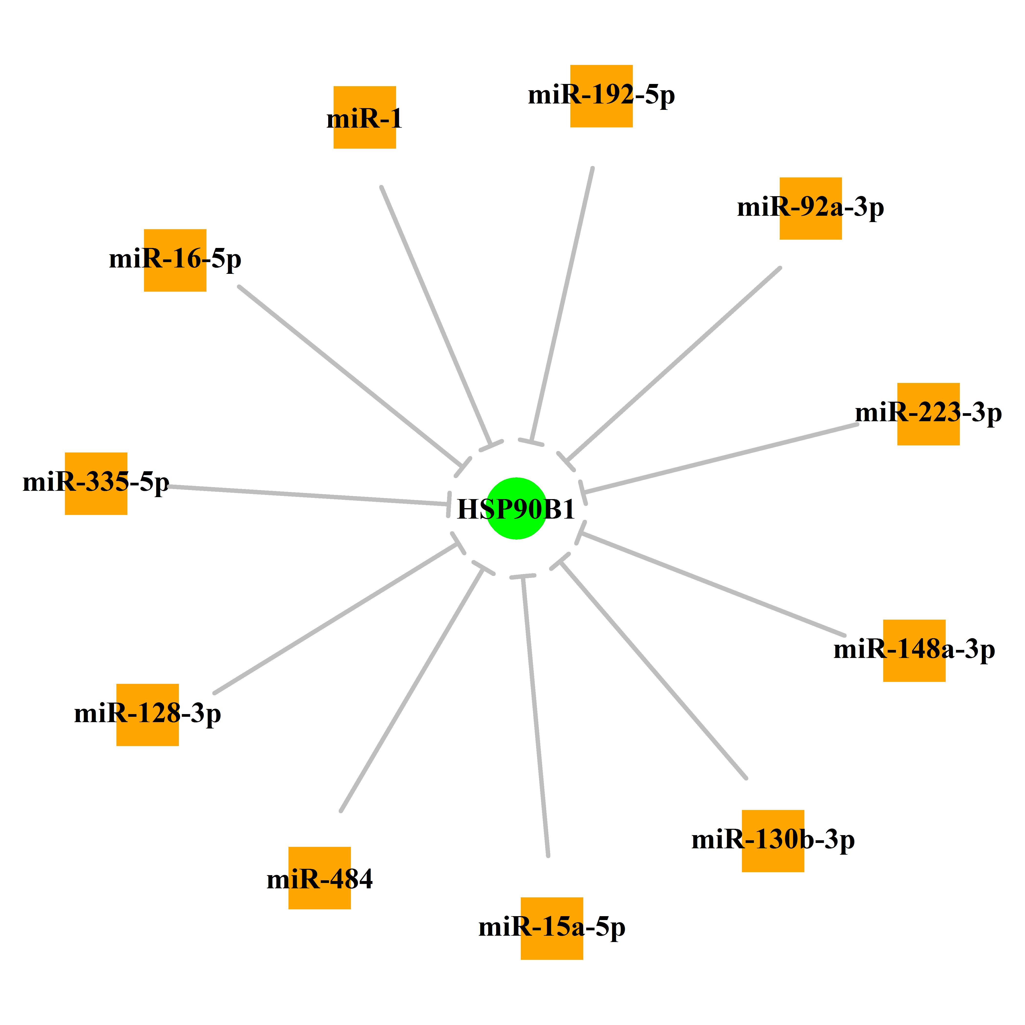 Experimentally validated miRNA-TS gene regulation information.