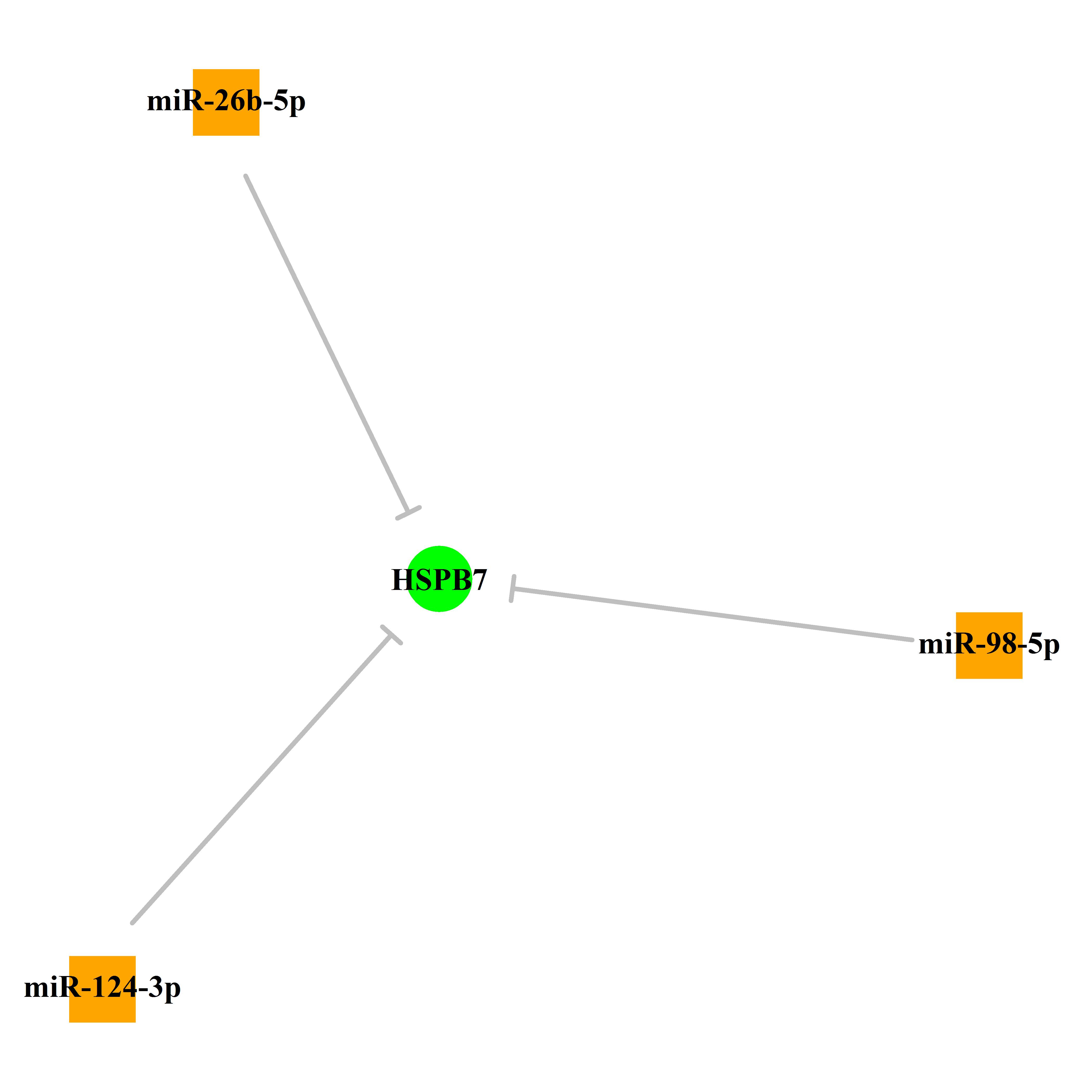 Experimentally validated miRNA-TS gene regulation information.