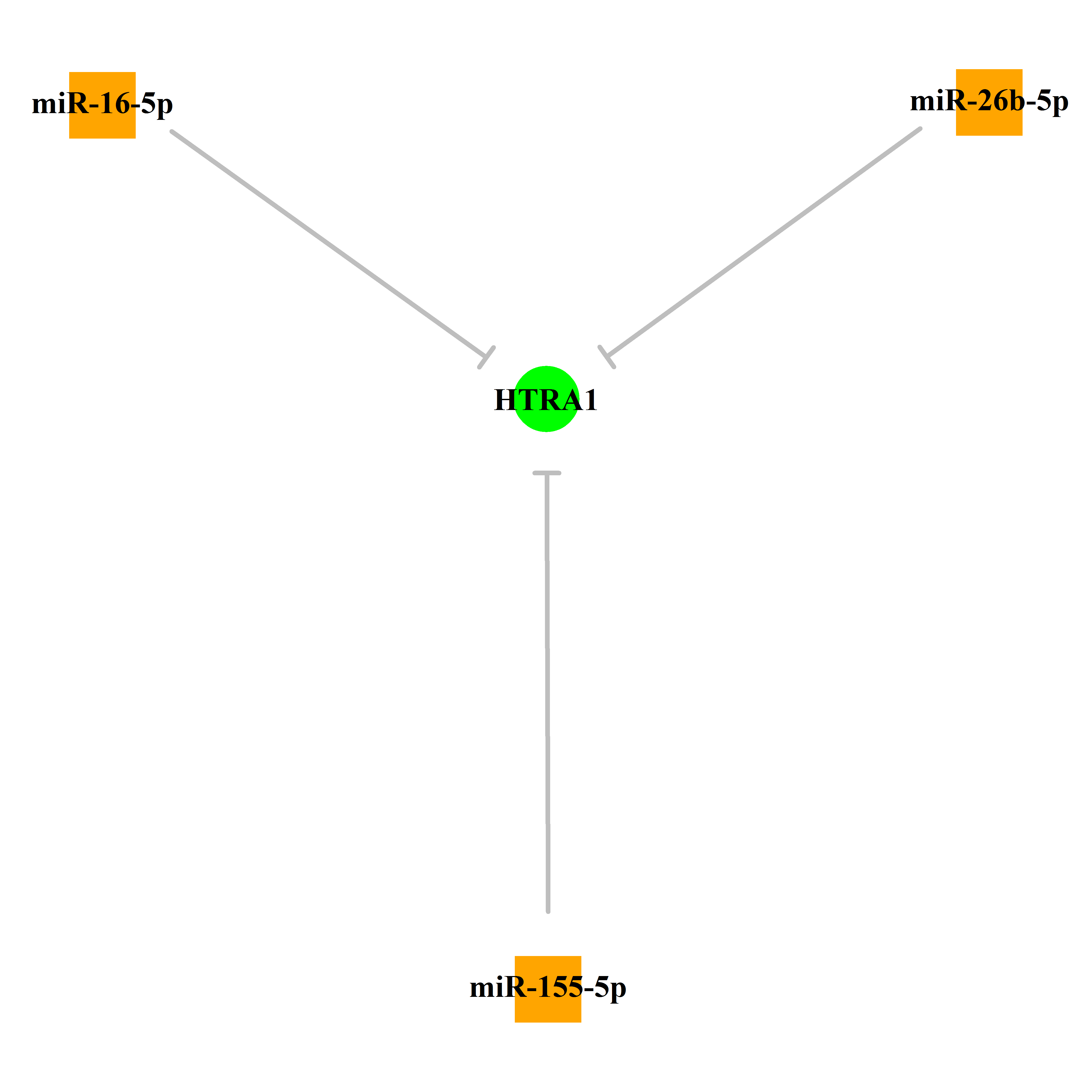 Experimentally validated miRNA-TS gene regulation information.