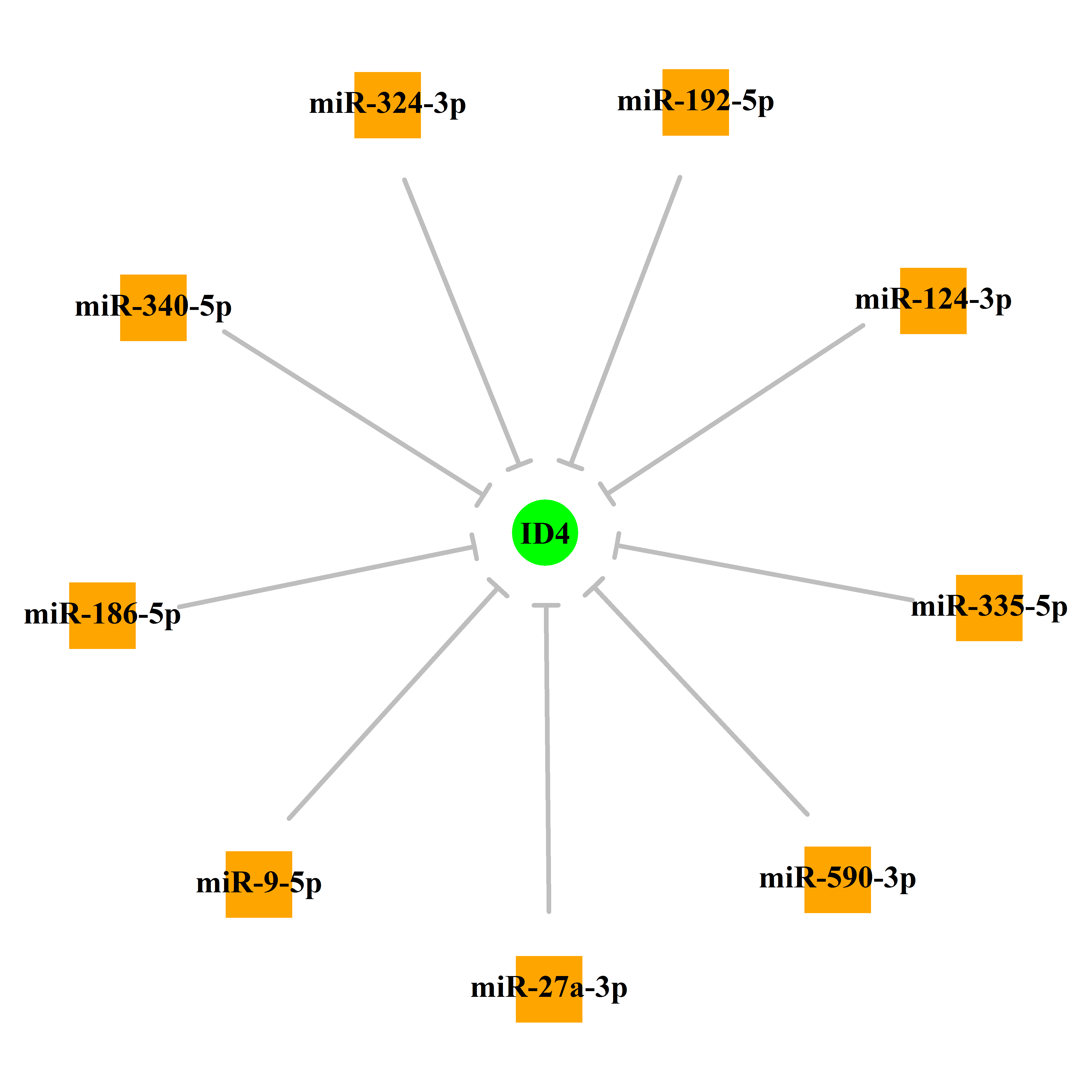 Experimentally validated miRNA-TS gene regulation information.