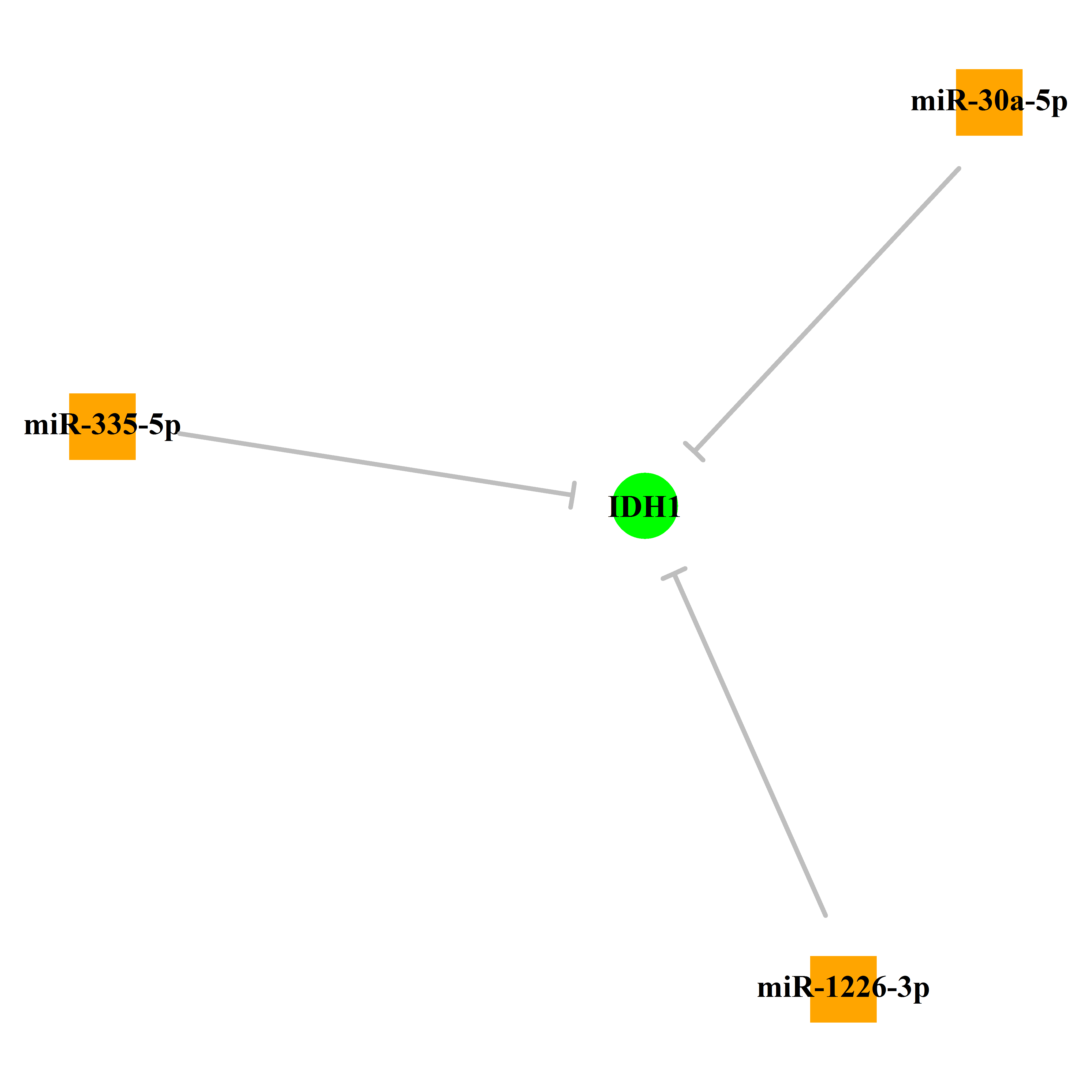 Experimentally validated miRNA-TS gene regulation information.