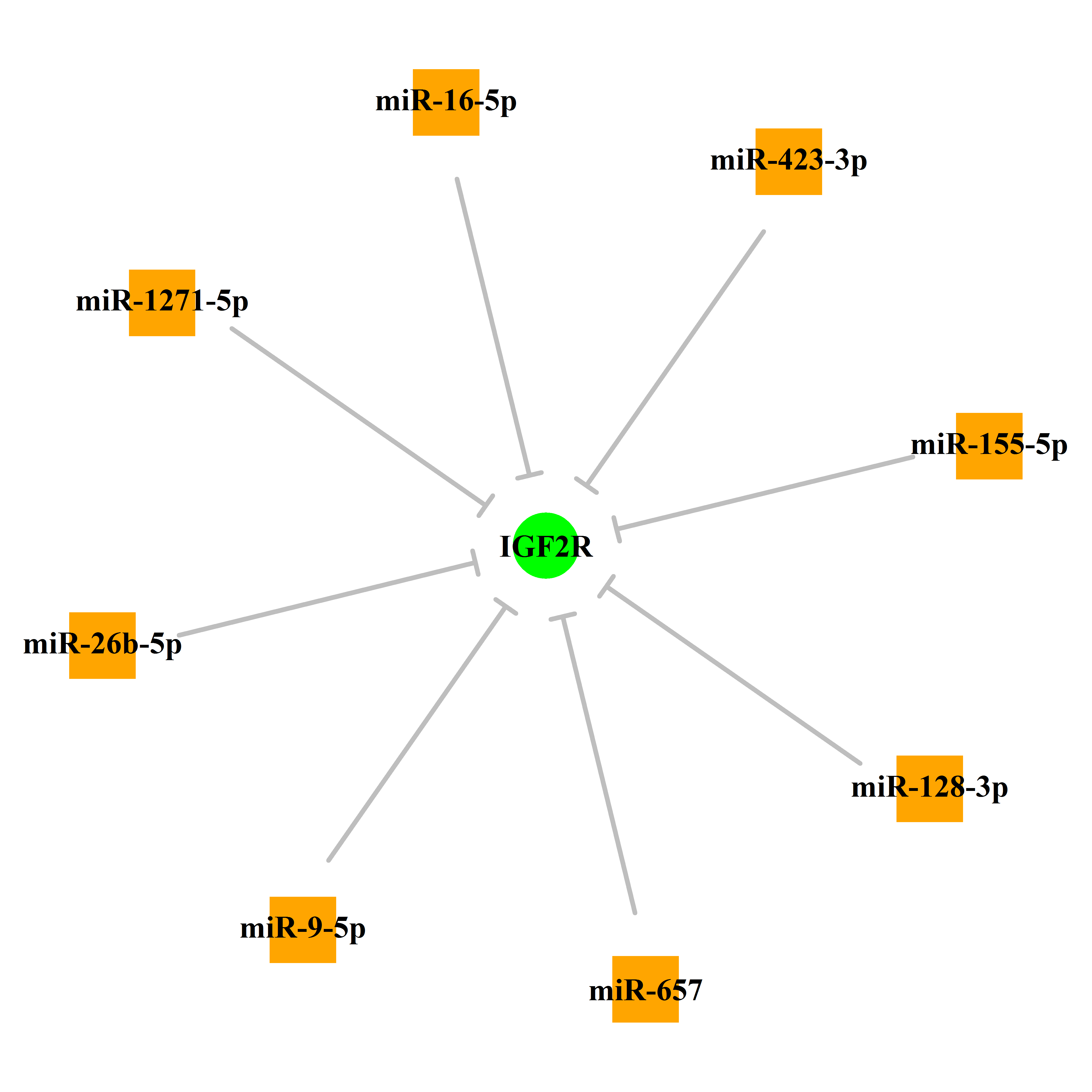 Experimentally validated miRNA-TS gene regulation information.