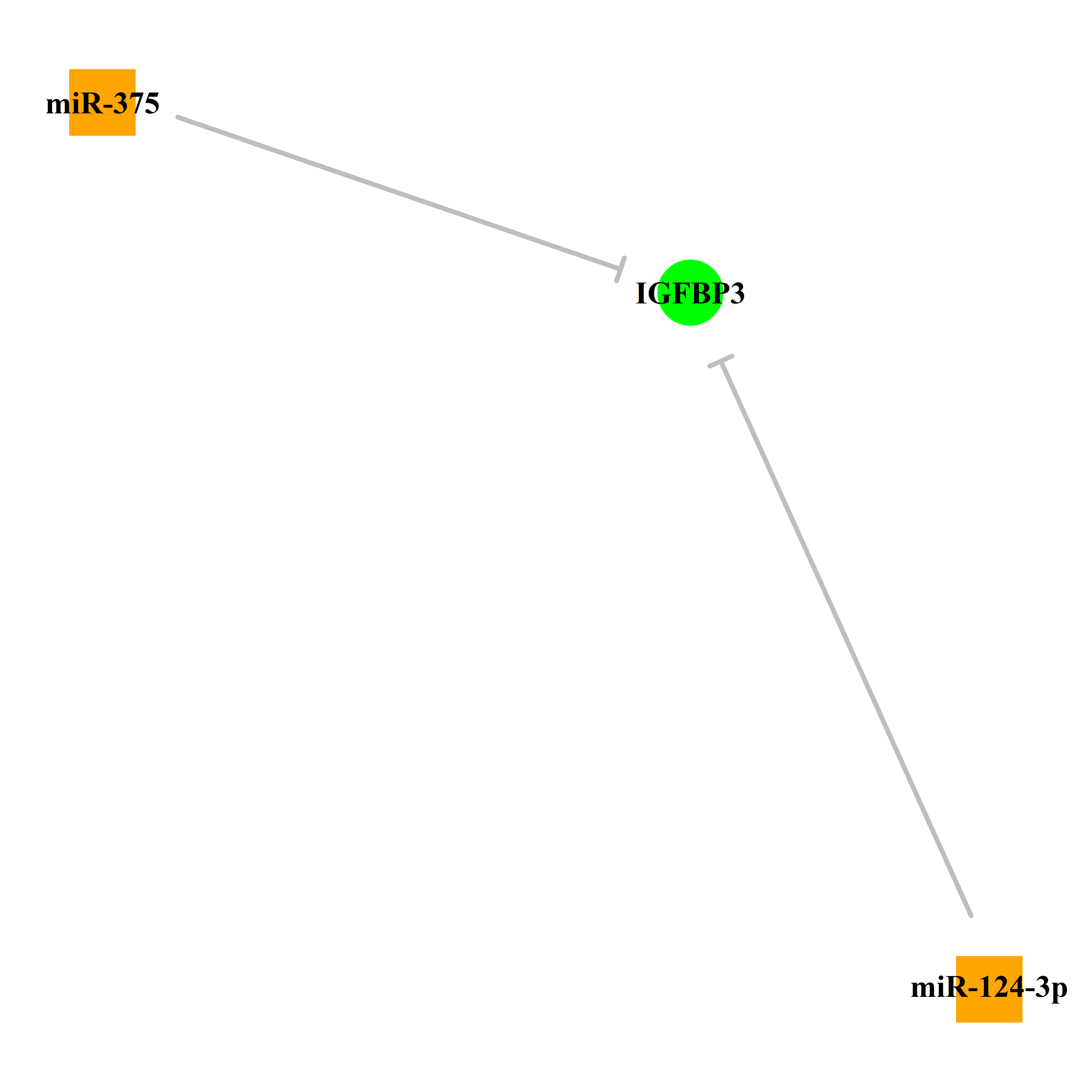 Experimentally validated miRNA-TS gene regulation information.