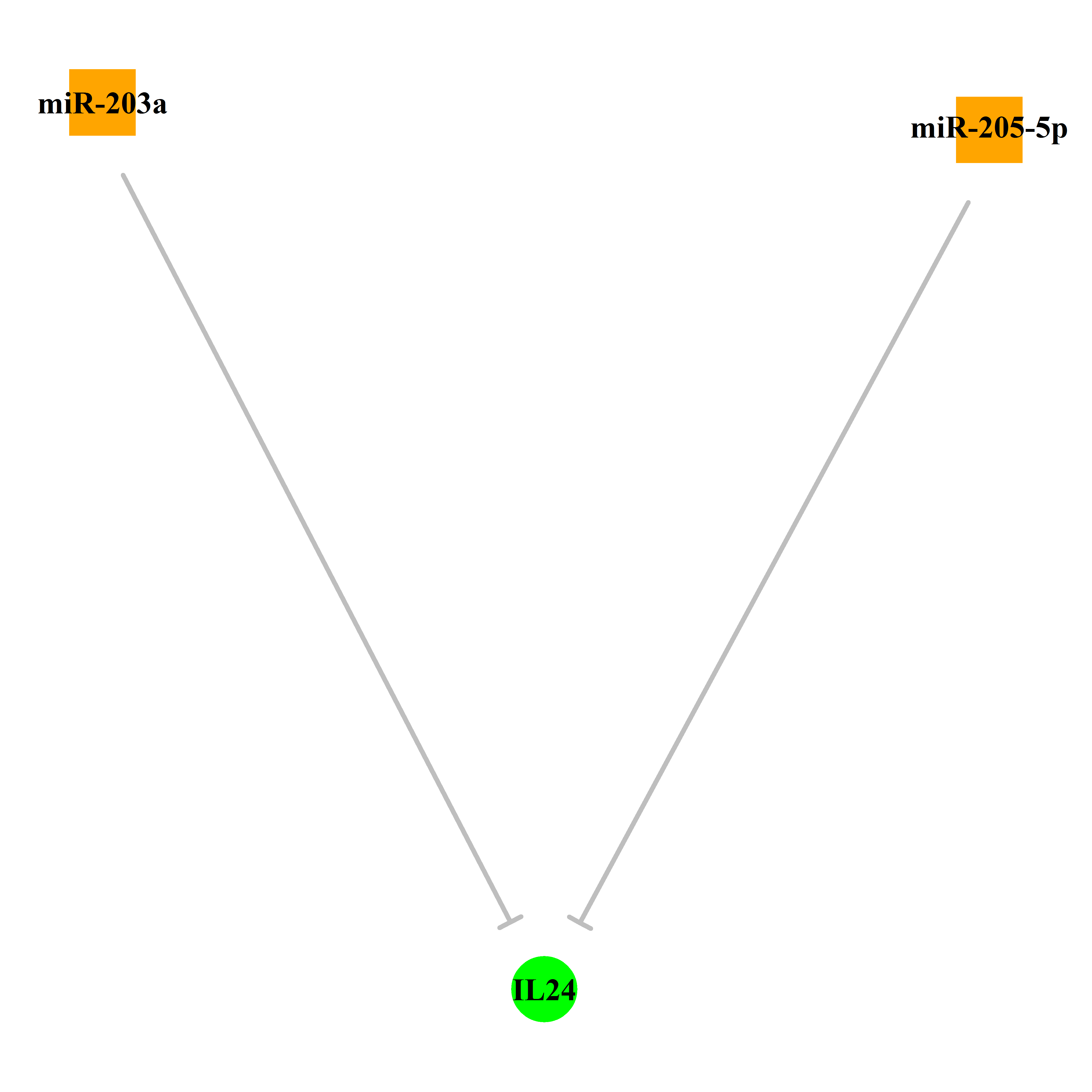 Experimentally validated miRNA-TS gene regulation information.