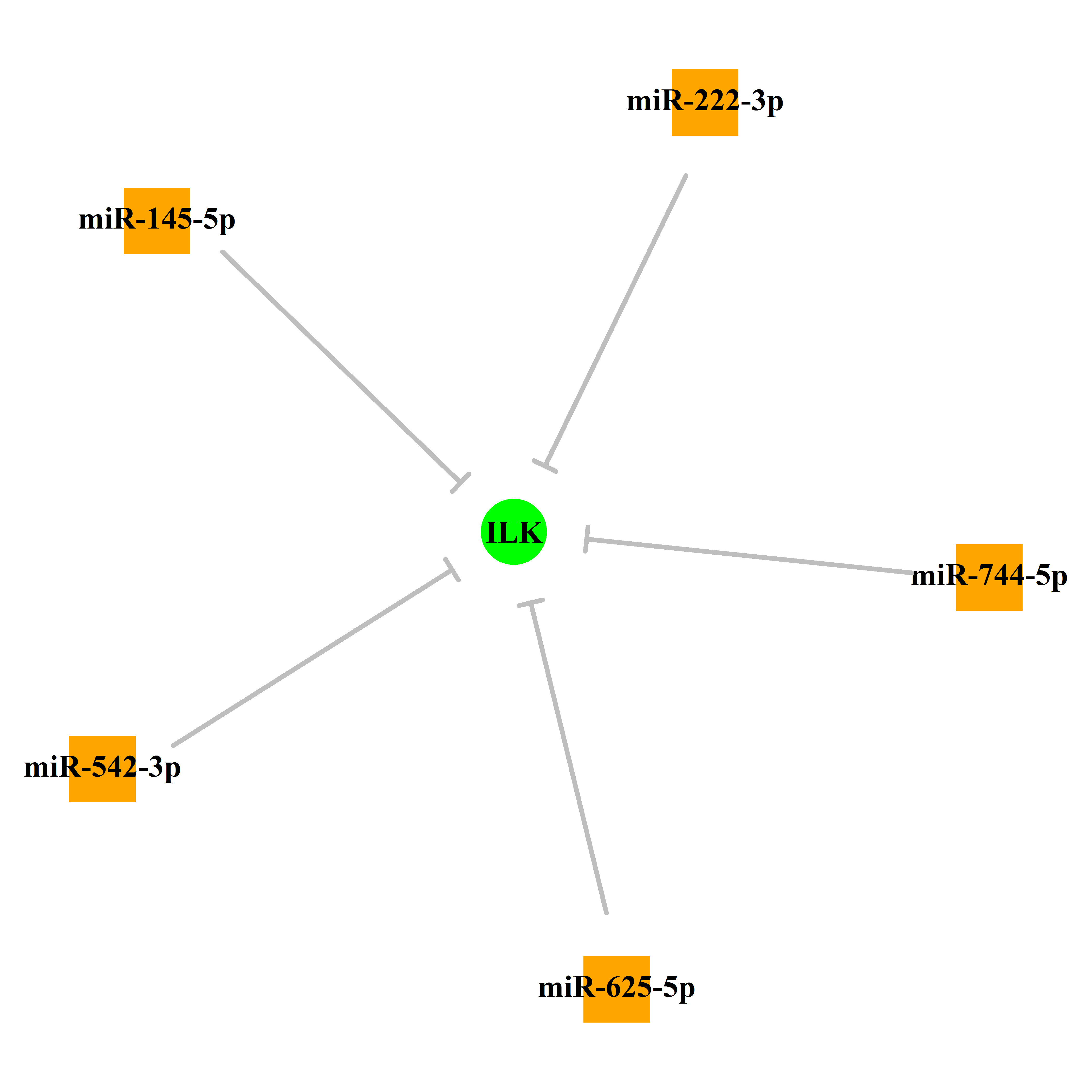 Experimentally validated miRNA-TS gene regulation information.