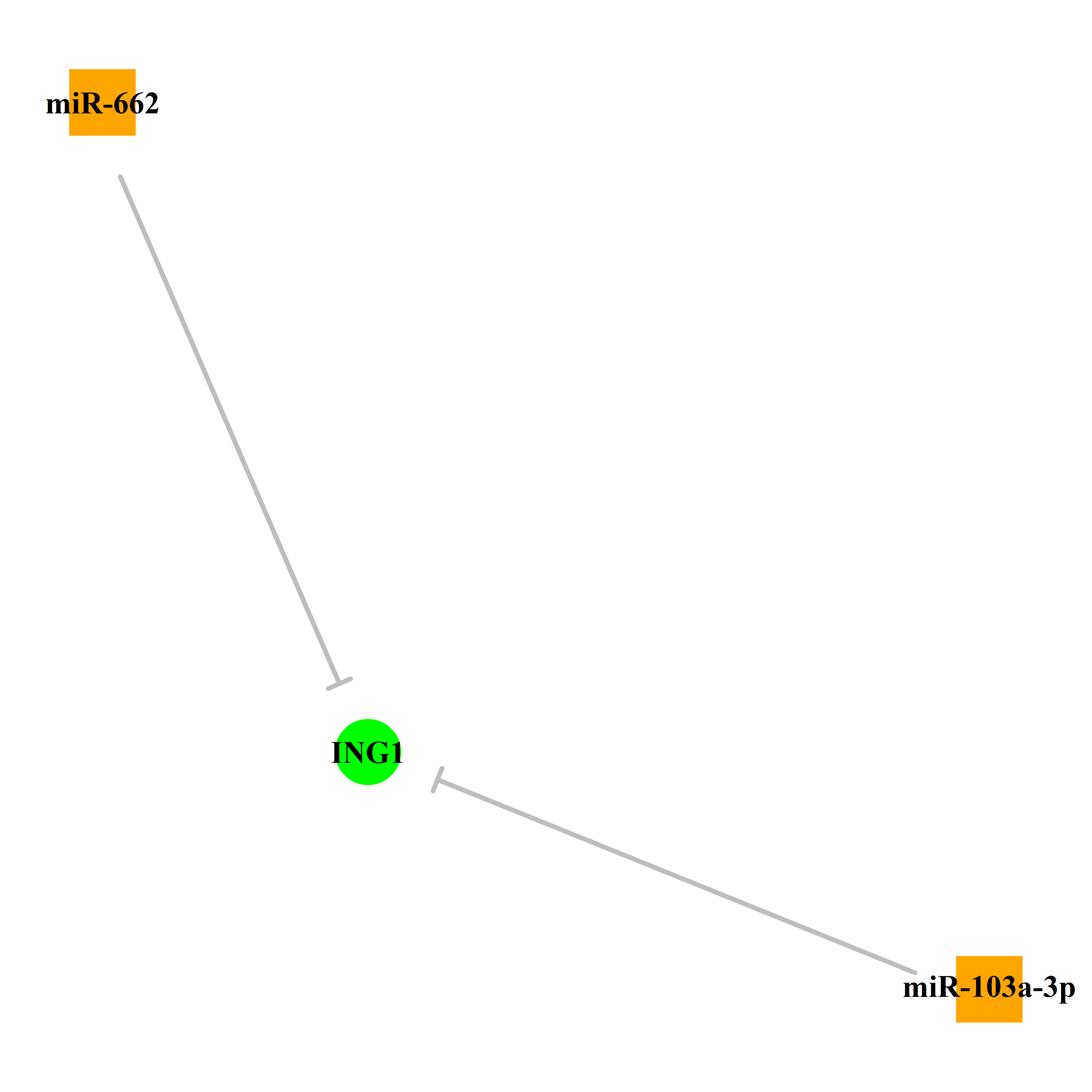 Experimentally validated miRNA-TS gene regulation information.