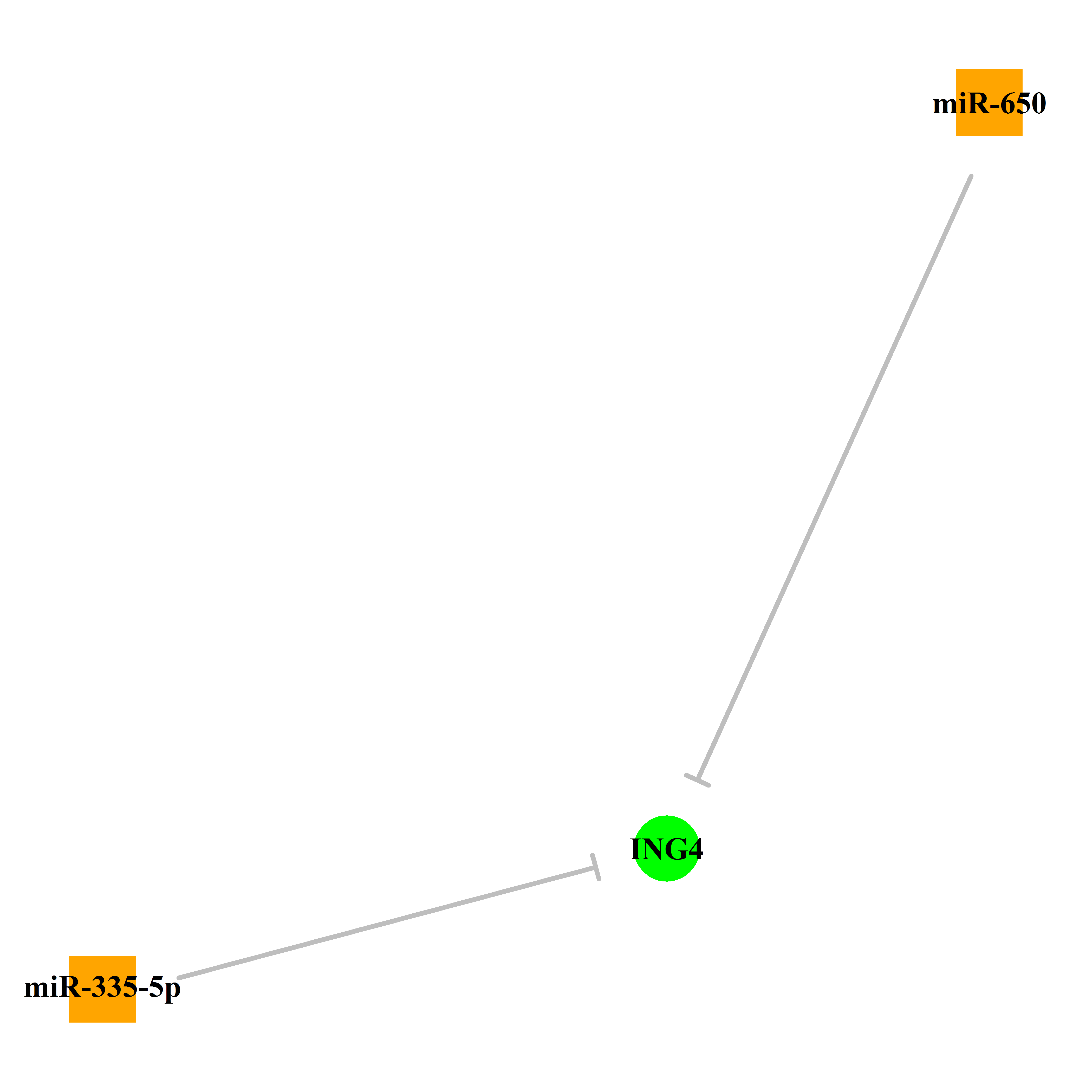 Experimentally validated miRNA-TS gene regulation information.