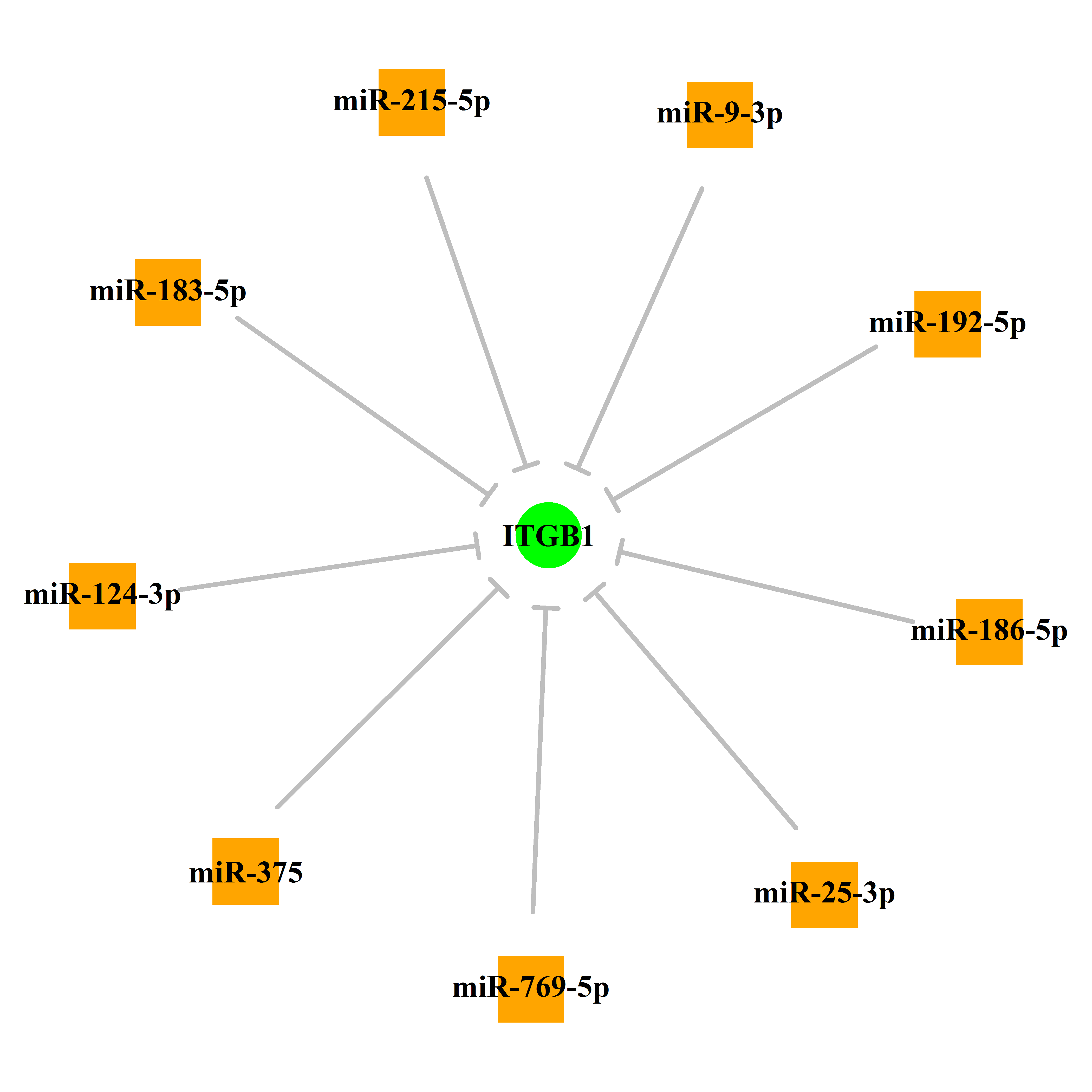 Experimentally validated miRNA-TS gene regulation information.