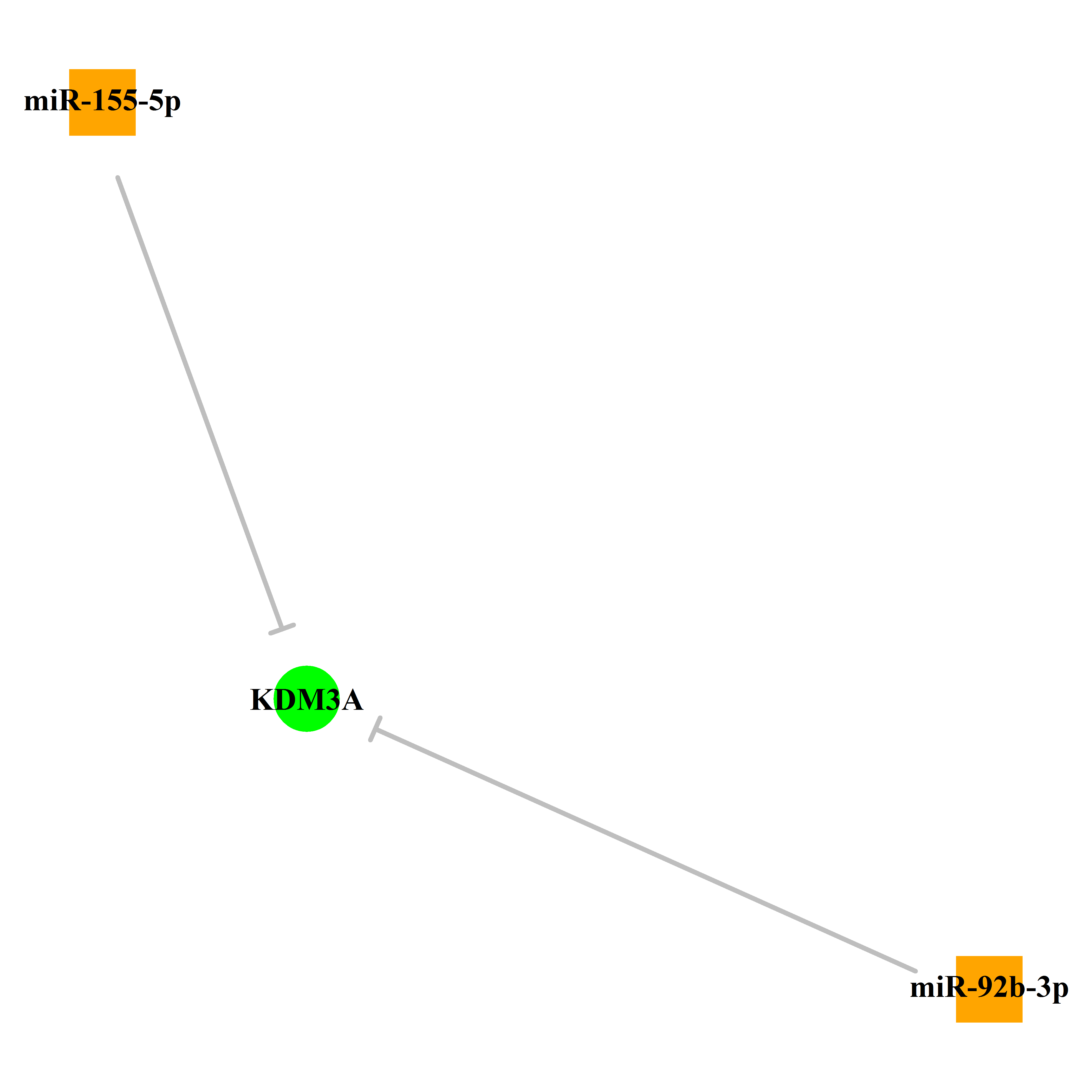 Experimentally validated miRNA-TS gene regulation information.