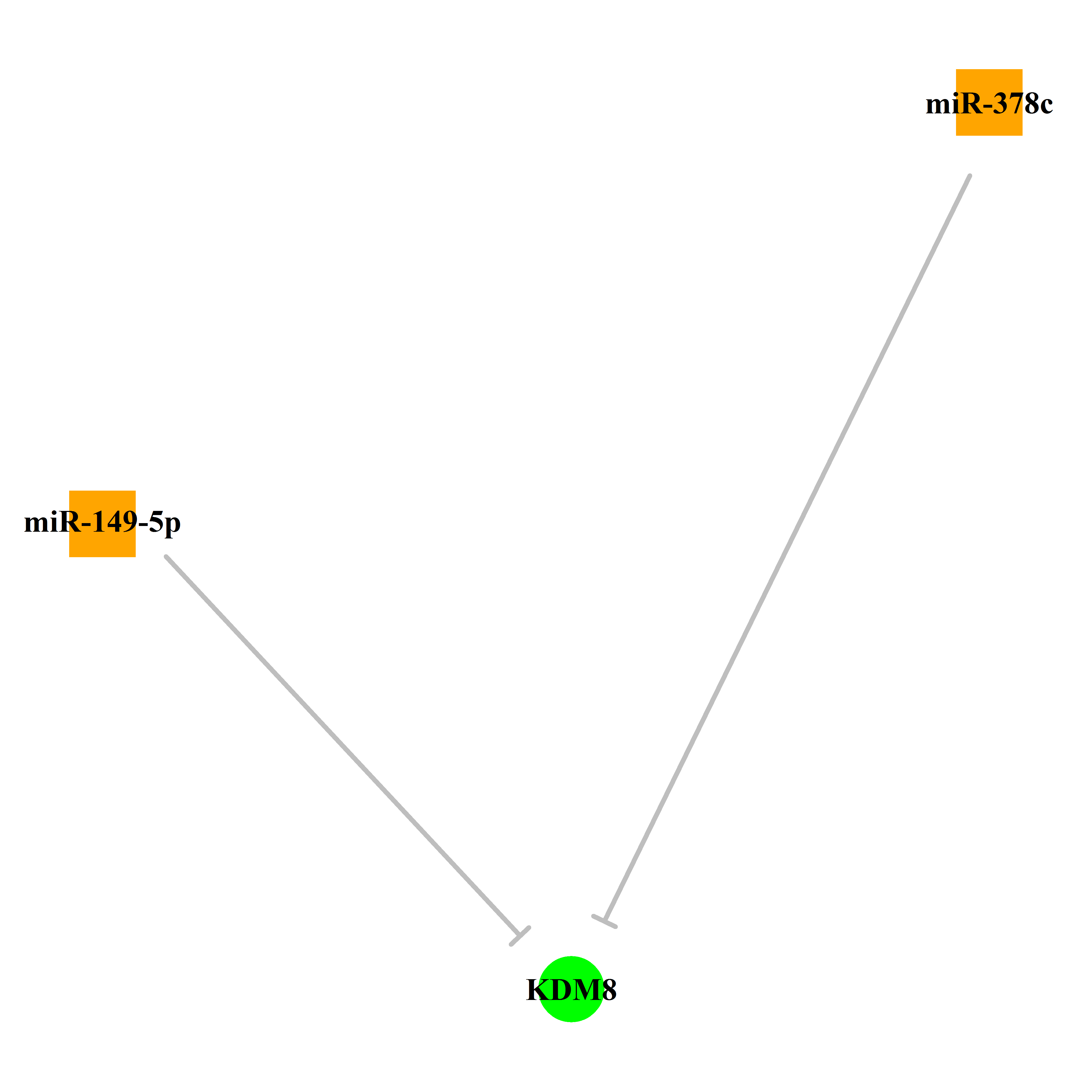 Experimentally validated miRNA-TS gene regulation information.