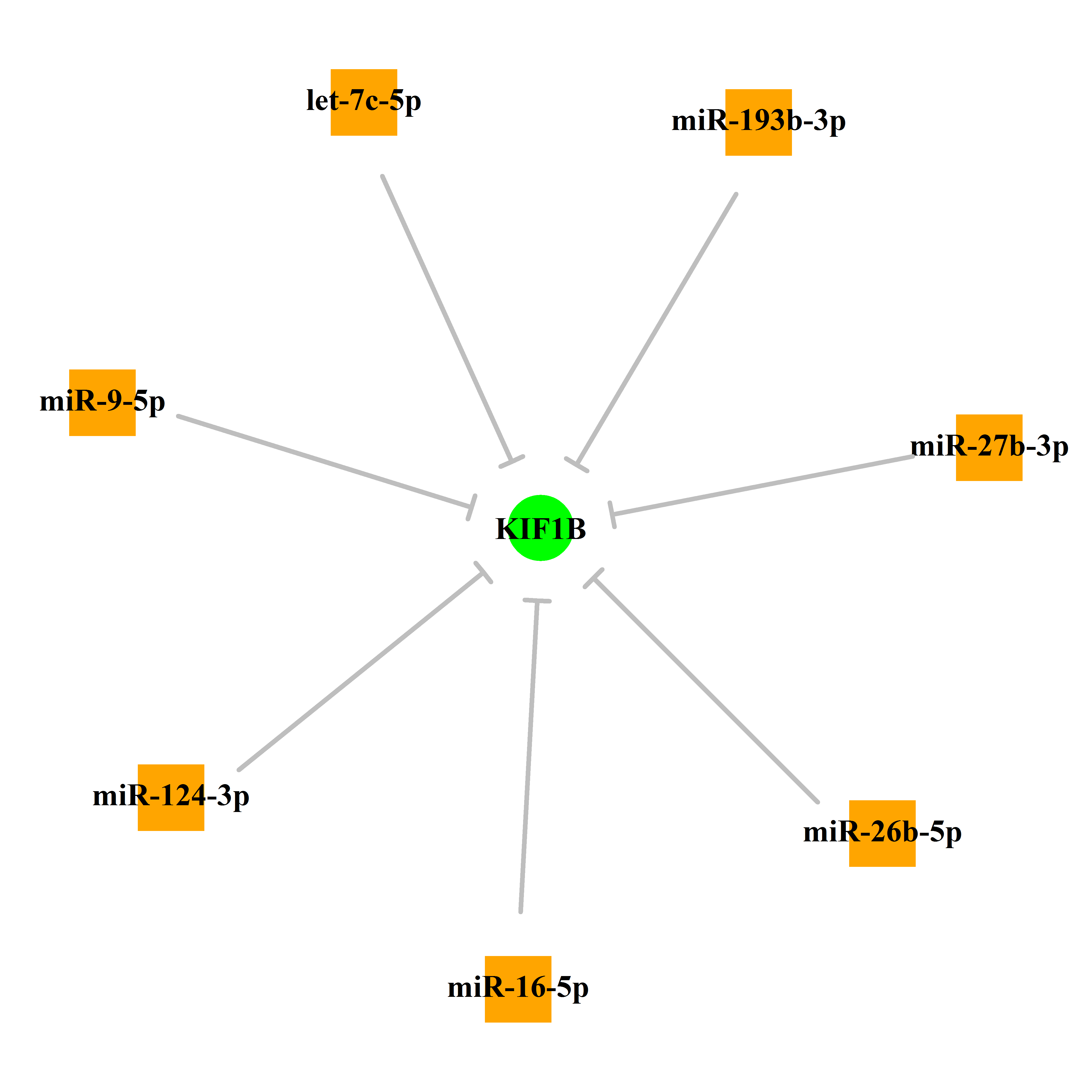 Experimentally validated miRNA-TS gene regulation information.