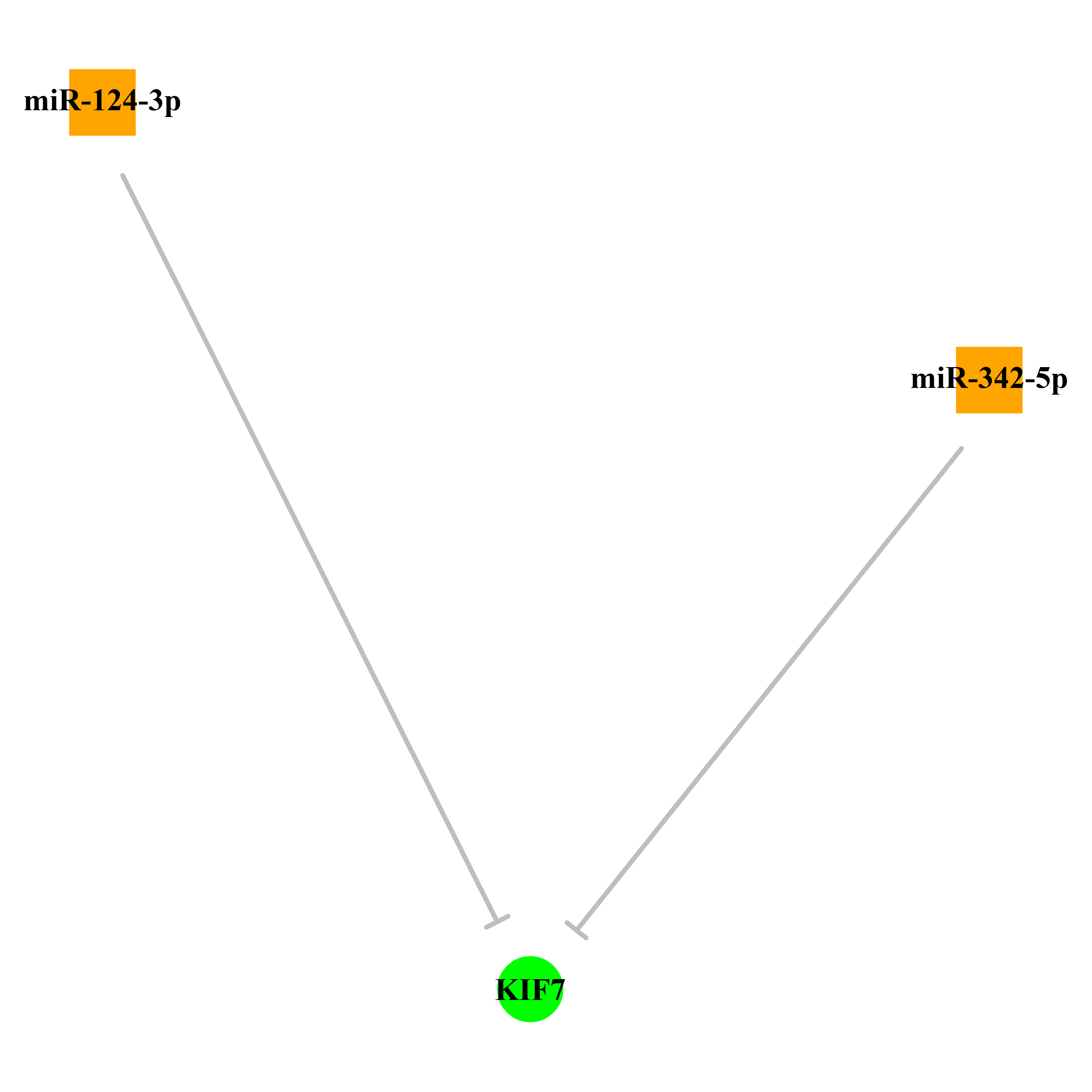 Experimentally validated miRNA-TS gene regulation information.