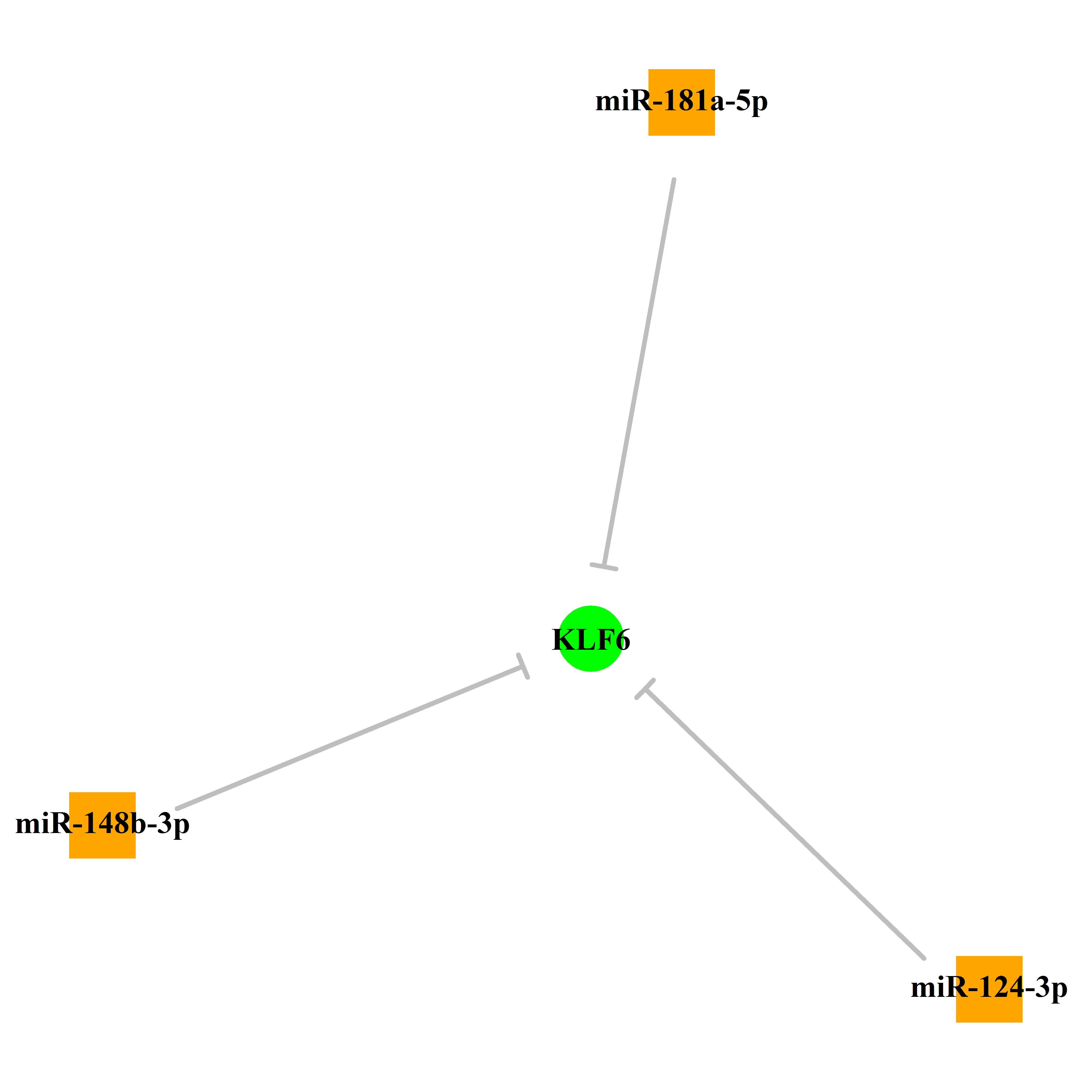 Experimentally validated miRNA-TS gene regulation information.