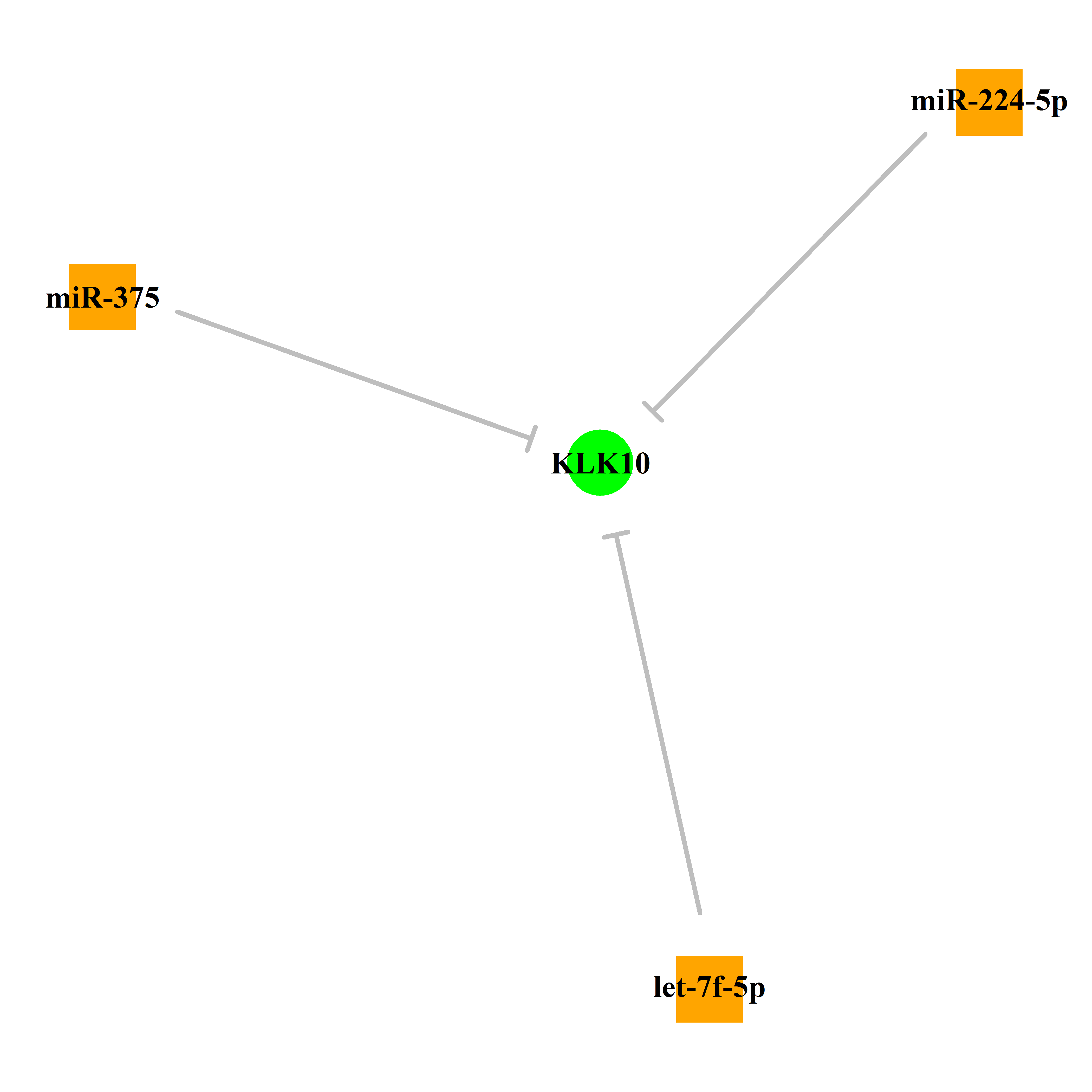 Experimentally validated miRNA-TS gene regulation information.