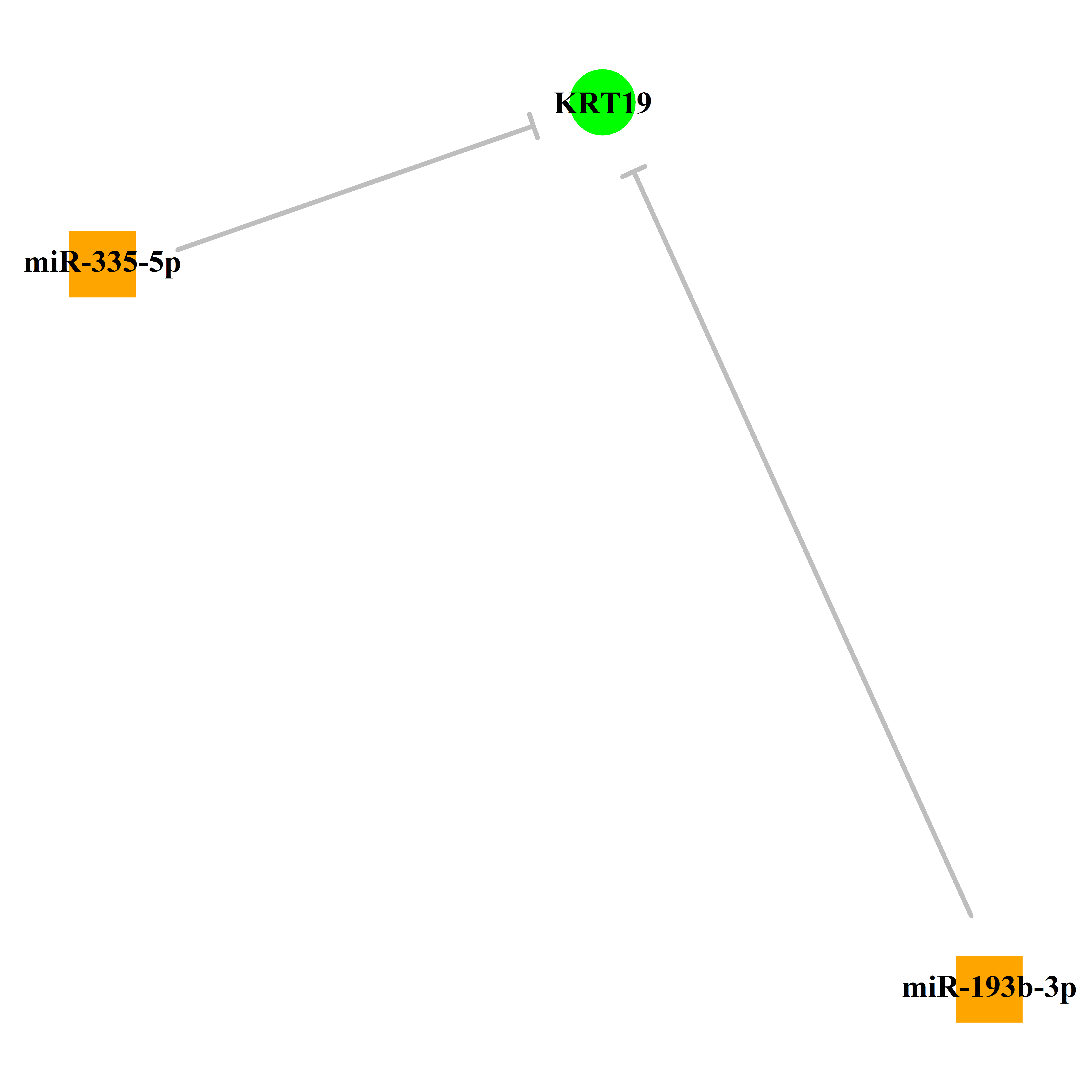 Experimentally validated miRNA-TS gene regulation information.