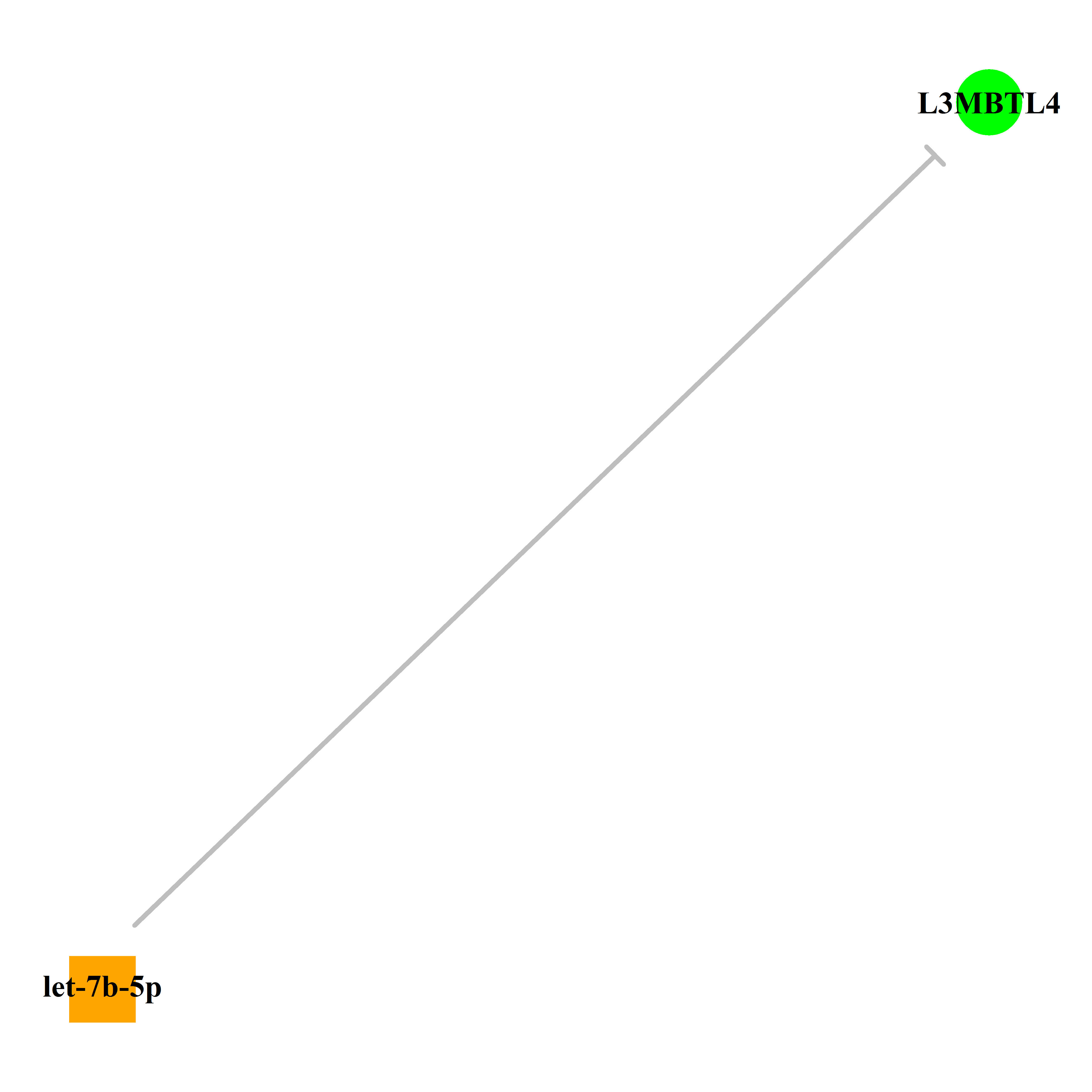 Experimentally validated miRNA-TS gene regulation information.