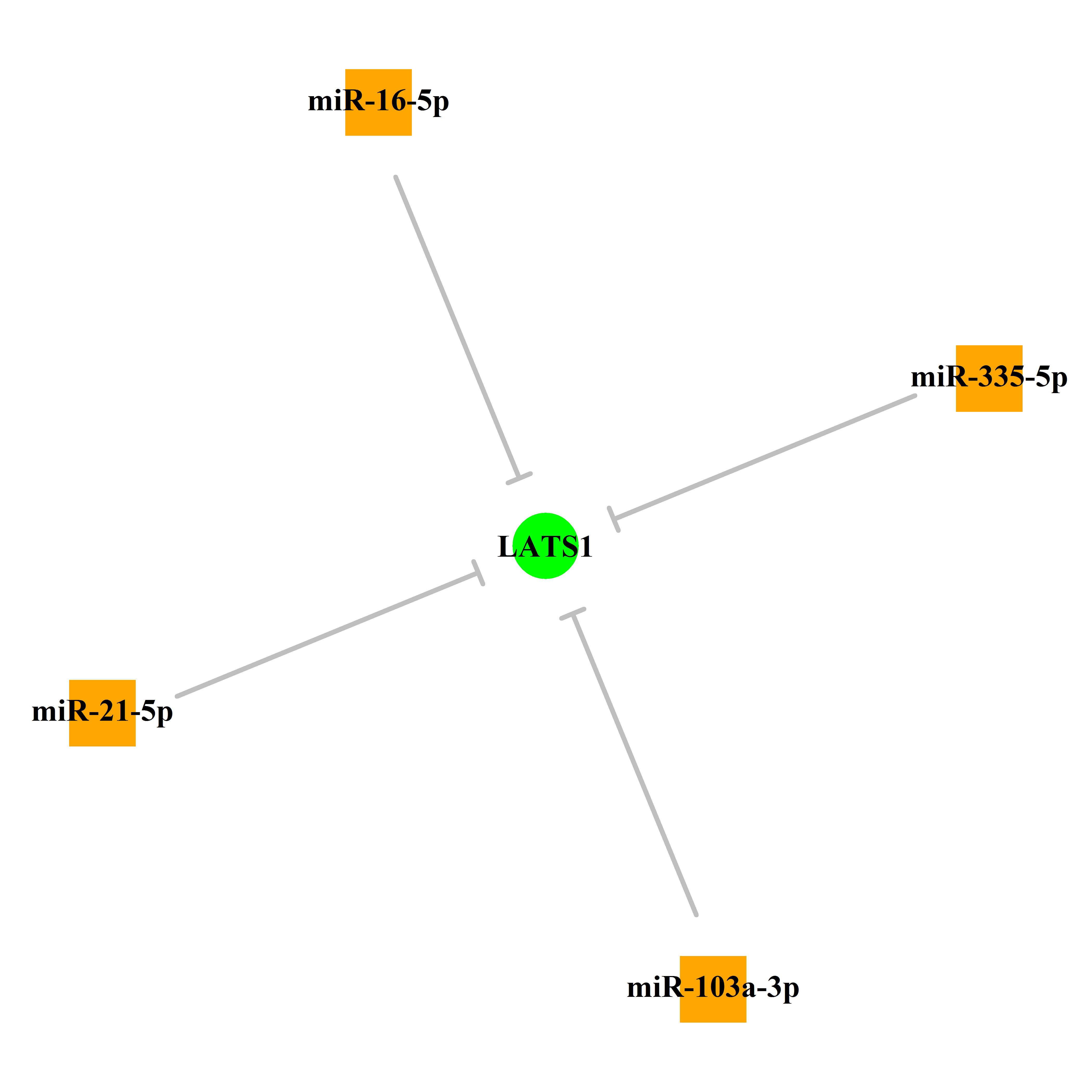 Experimentally validated miRNA-TS gene regulation information.