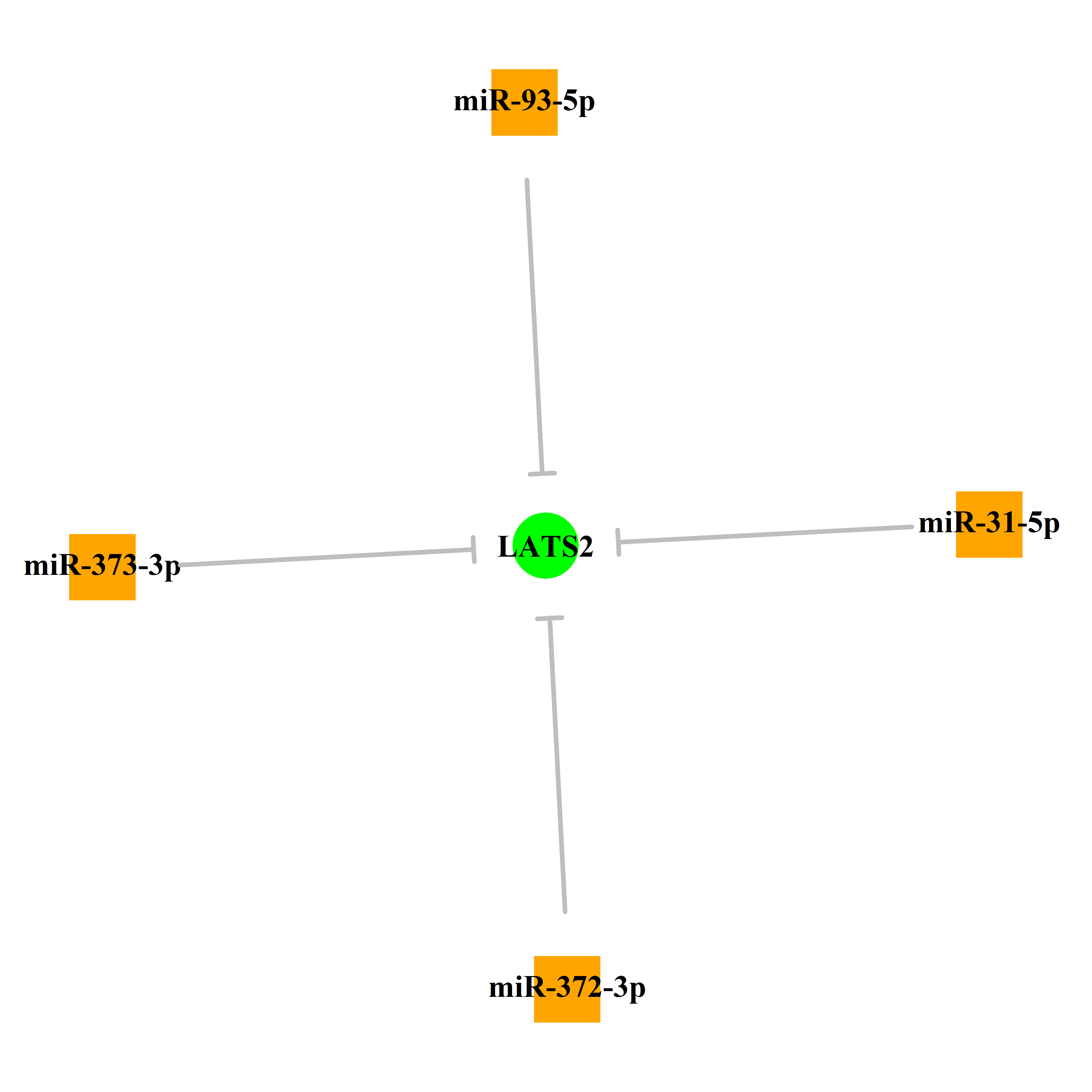 Experimentally validated miRNA-TS gene regulation information.